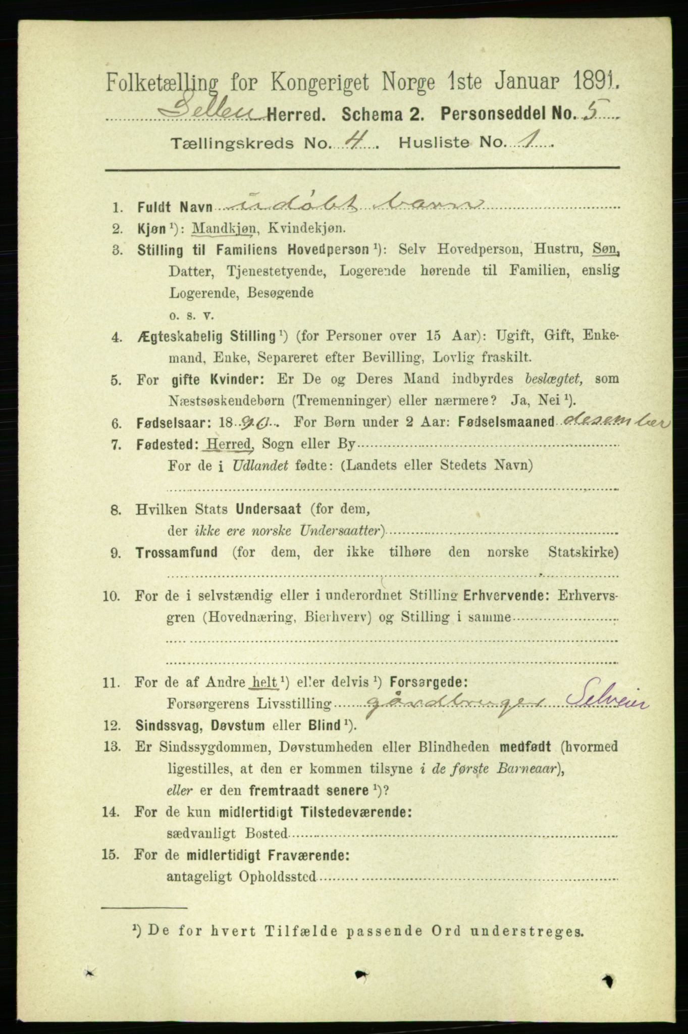 RA, 1891 census for 1664 Selbu, 1891, p. 1067