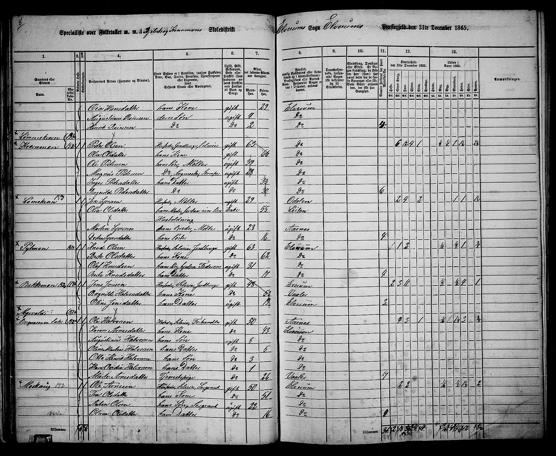 RA, 1865 census for Elverum, 1865, p. 32