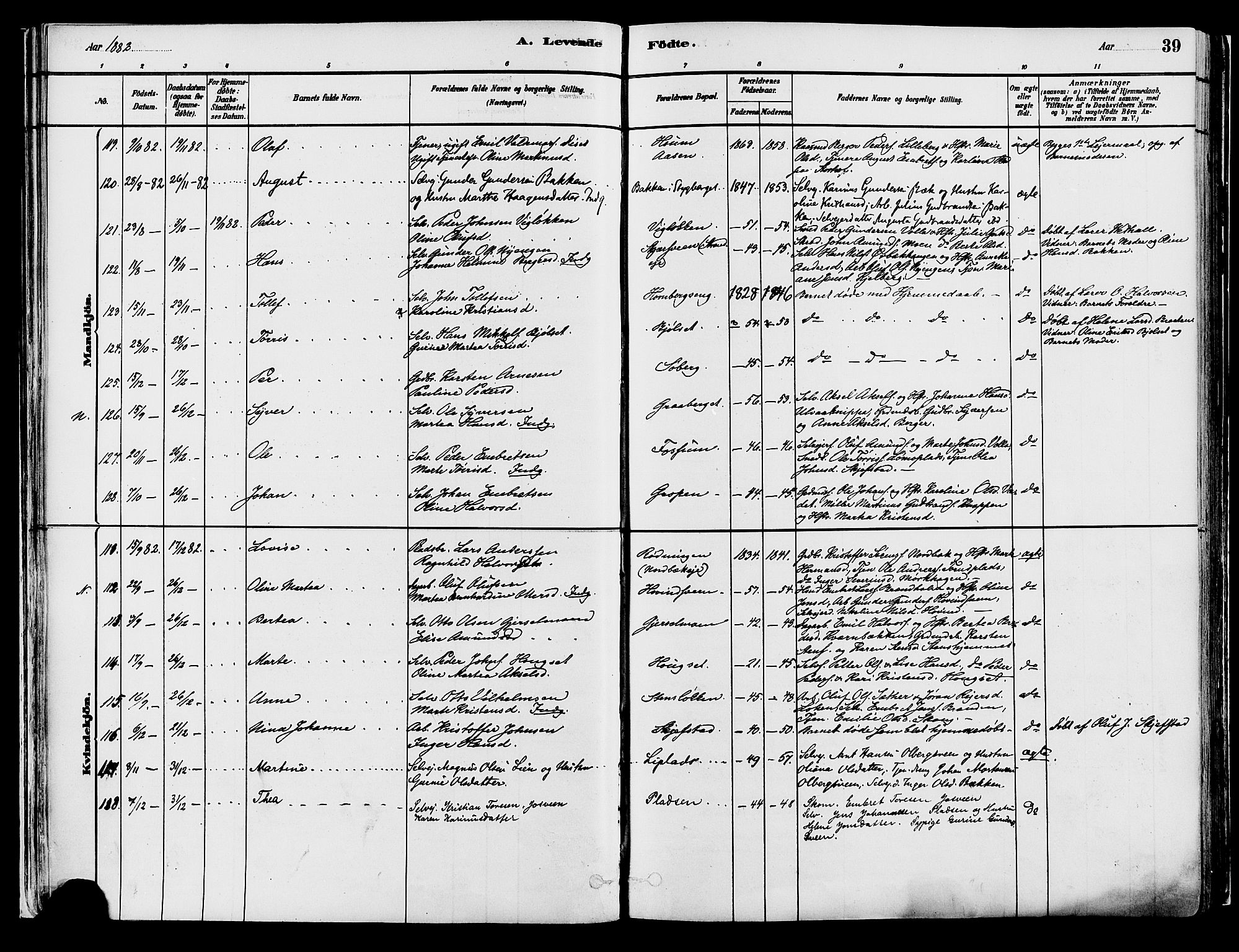 Elverum prestekontor, AV/SAH-PREST-044/H/Ha/Haa/L0013: Parish register (official) no. 13, 1880-1890, p. 39