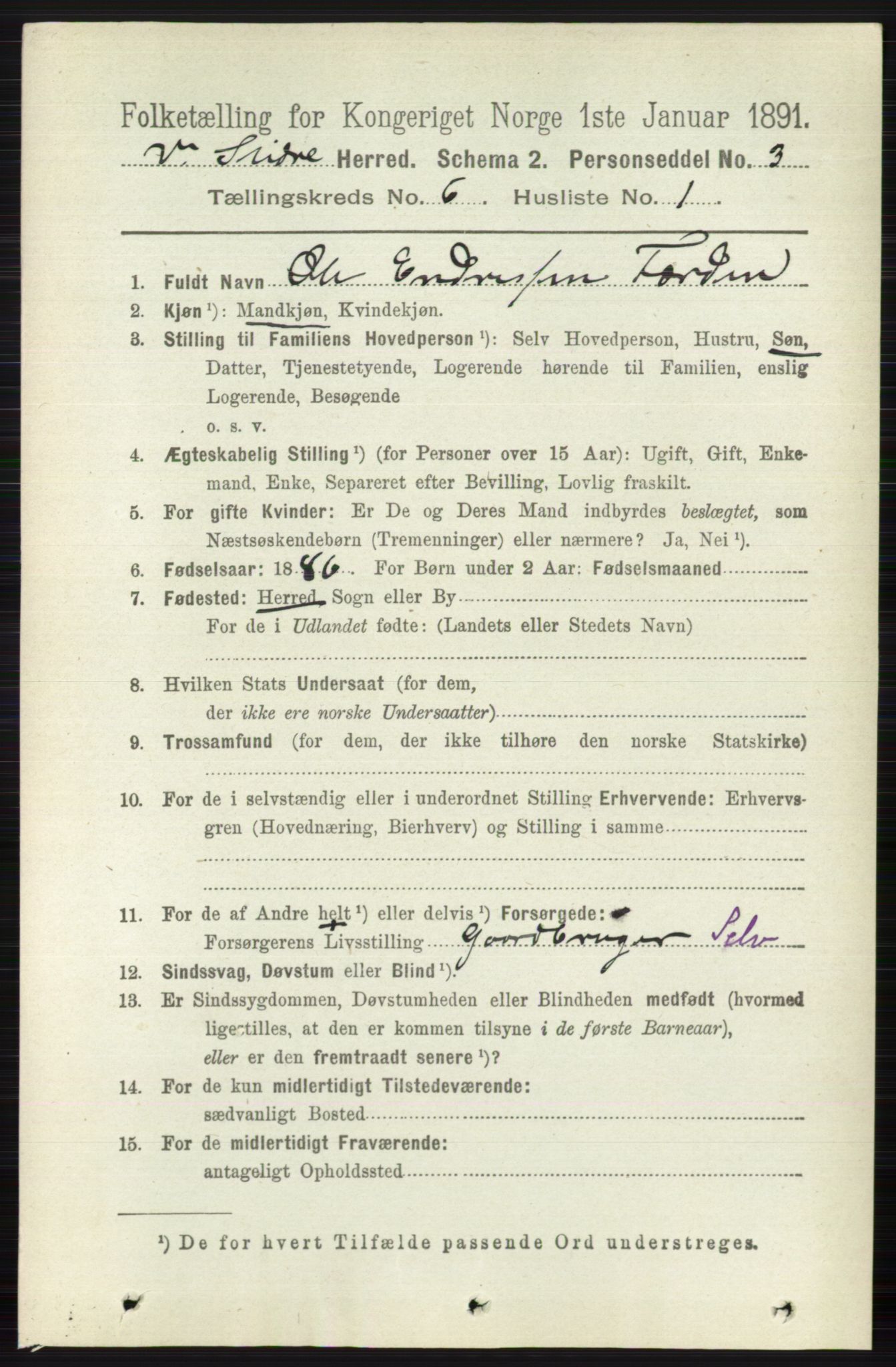 RA, 1891 census for 0543 Vestre Slidre, 1891, p. 2065