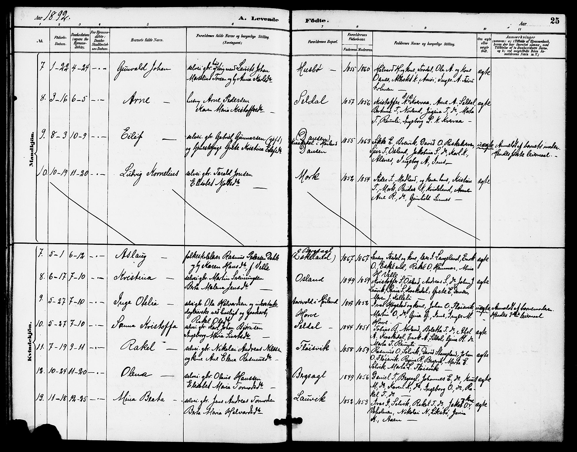 Høgsfjord sokneprestkontor, AV/SAST-A-101624/H/Ha/Haa/L0005: Parish register (official) no. A 5, 1885-1897, p. 25