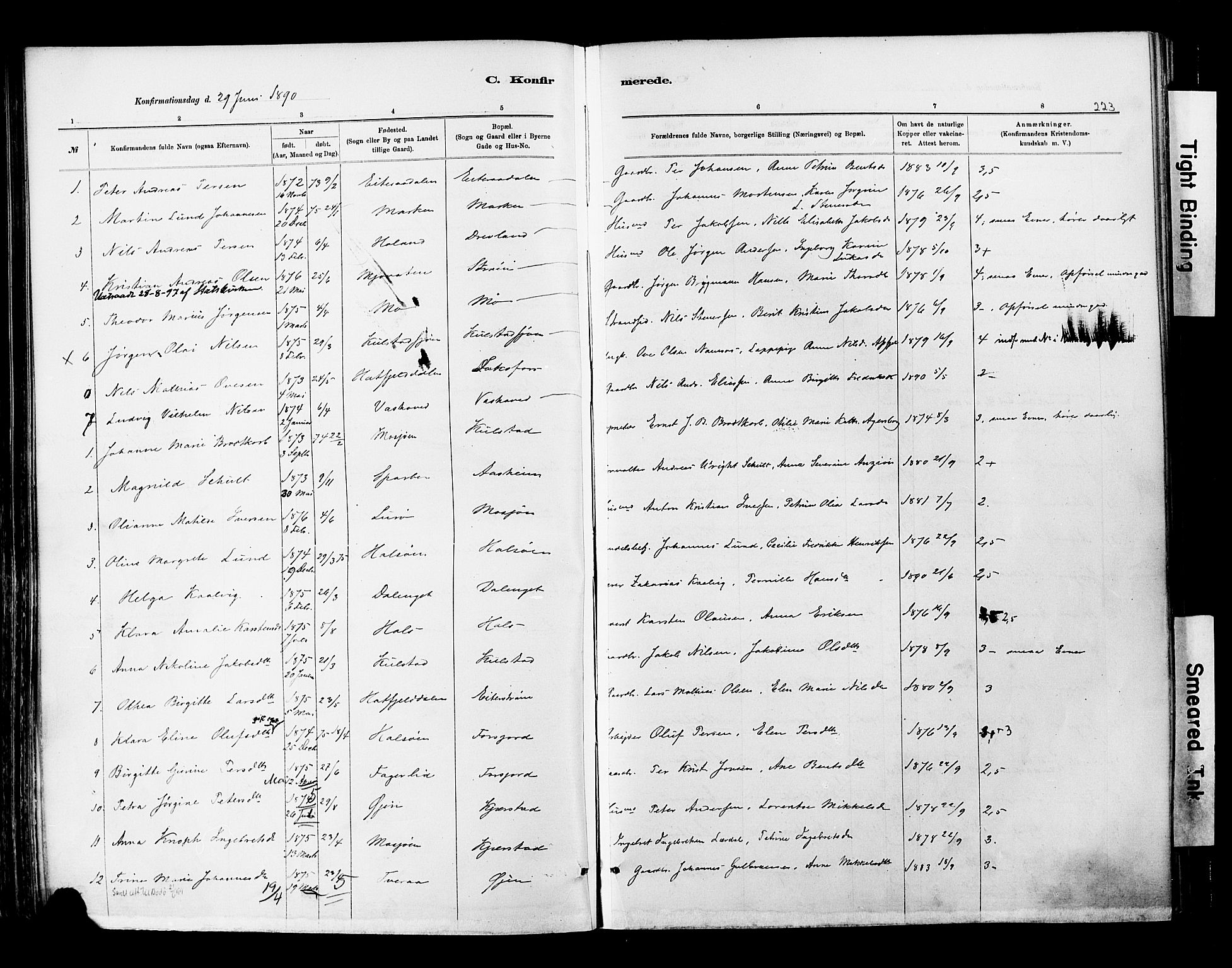 Ministerialprotokoller, klokkerbøker og fødselsregistre - Nordland, AV/SAT-A-1459/820/L0295: Parish register (official) no. 820A16, 1880-1896, p. 223