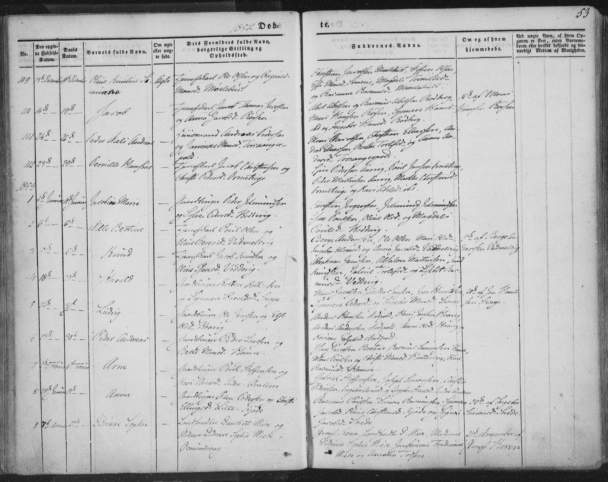 Selje sokneprestembete, AV/SAB-A-99938/H/Ha/Haa/Haaa: Parish register (official) no. A 10, 1844-1858, p. 53