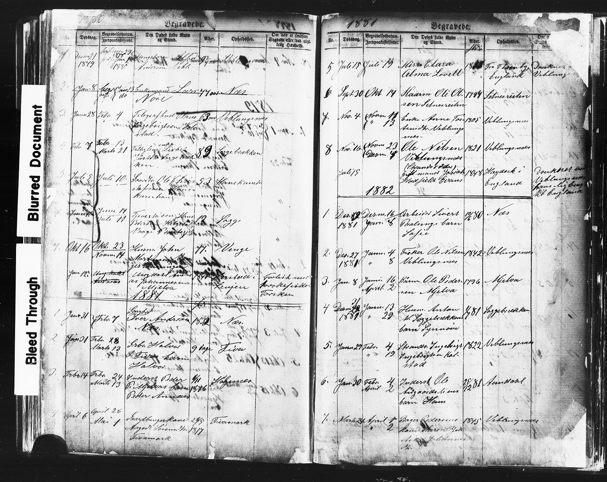 Ministerialprotokoller, klokkerbøker og fødselsregistre - Møre og Romsdal, AV/SAT-A-1454/544/L0580: Parish register (copy) no. 544C02, 1867-1909, p. 249