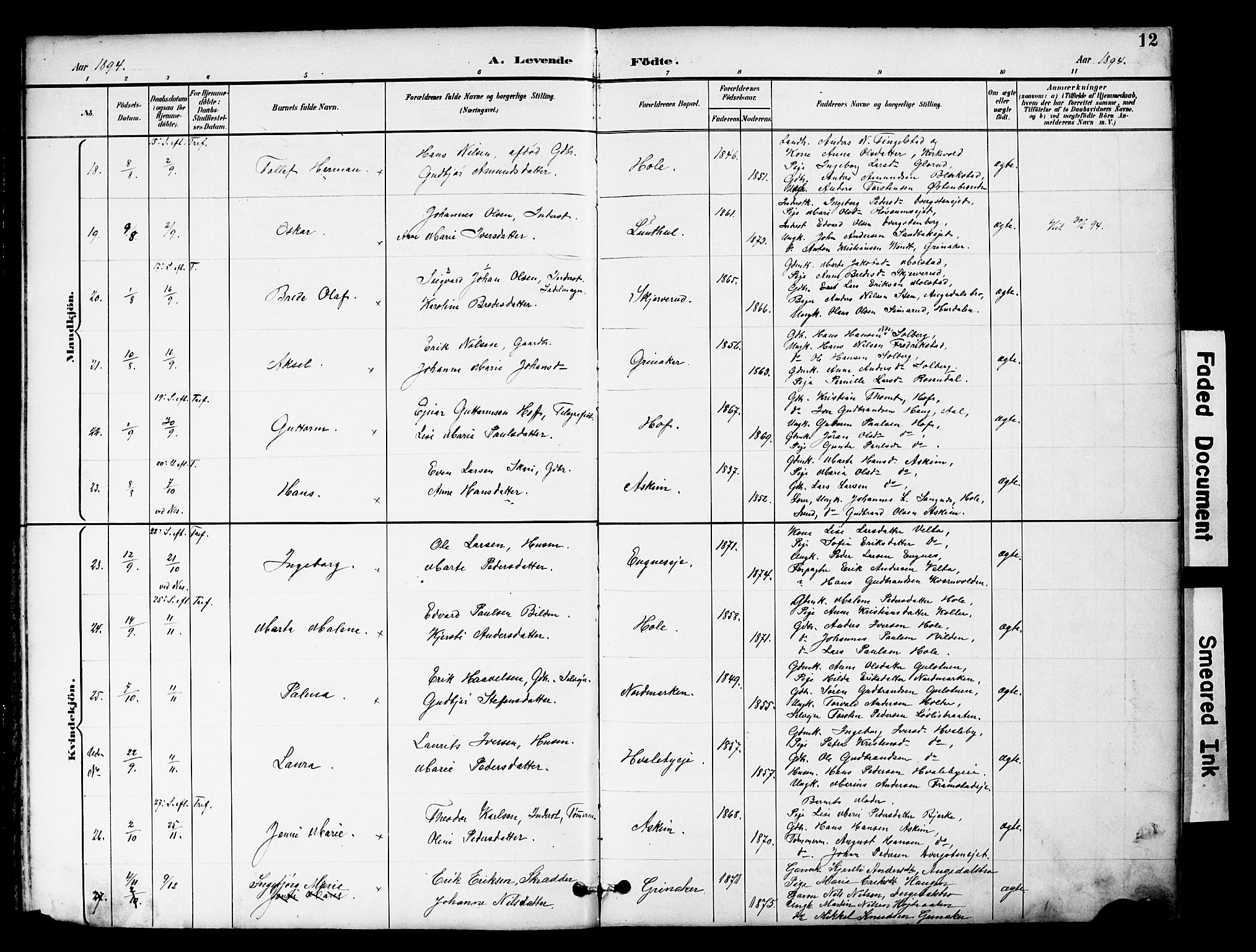 Brandbu prestekontor, SAH/PREST-114/H/Ha/Hab/L0006: Parish register (copy) no. 6, 1893-1902, p. 12