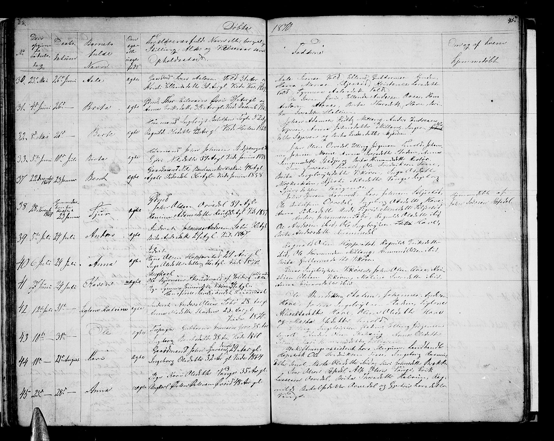 Vik sokneprestembete, AV/SAB-A-81501/H/Hab/Haba/L0002: Parish register (copy) no. A 2, 1856-1877, p. 45