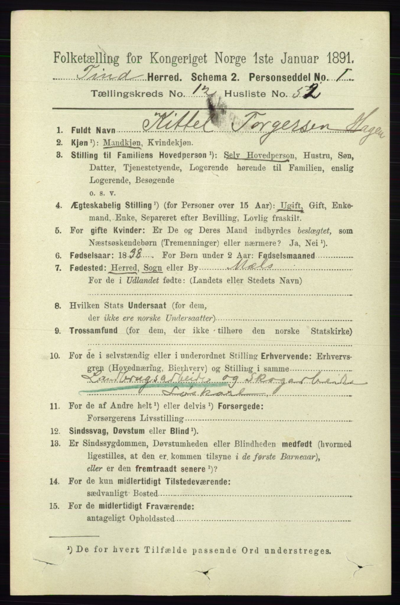 RA, 1891 census for 0826 Tinn, 1891, p. 2617