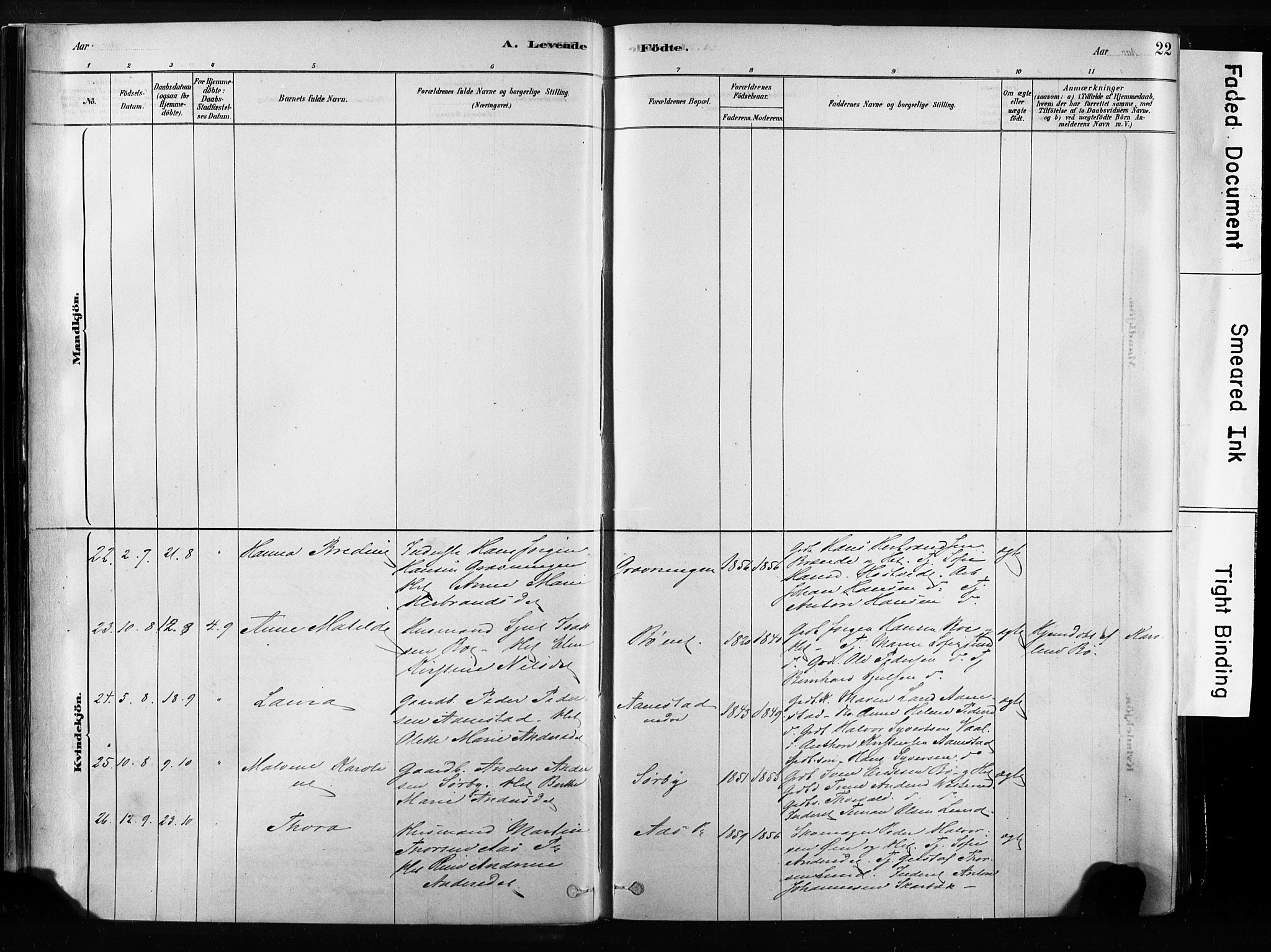 Sandsvær kirkebøker, AV/SAKO-A-244/F/Fb/L0001: Parish register (official) no. II 1, 1878-1906, p. 22