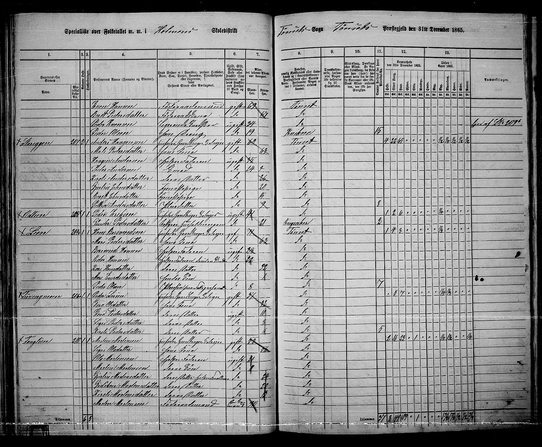 RA, 1865 census for Tynset, 1865, p. 45