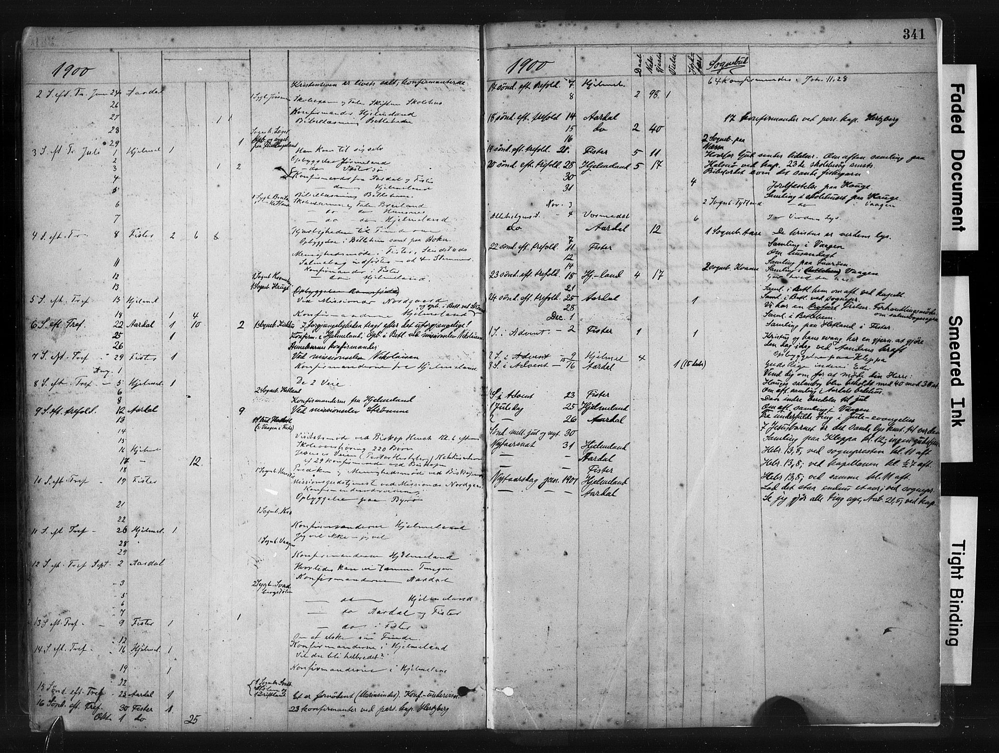 Hjelmeland sokneprestkontor, AV/SAST-A-101843/01/IV/L0014: Parish register (official) no. A 14, 1879-1900, p. 341