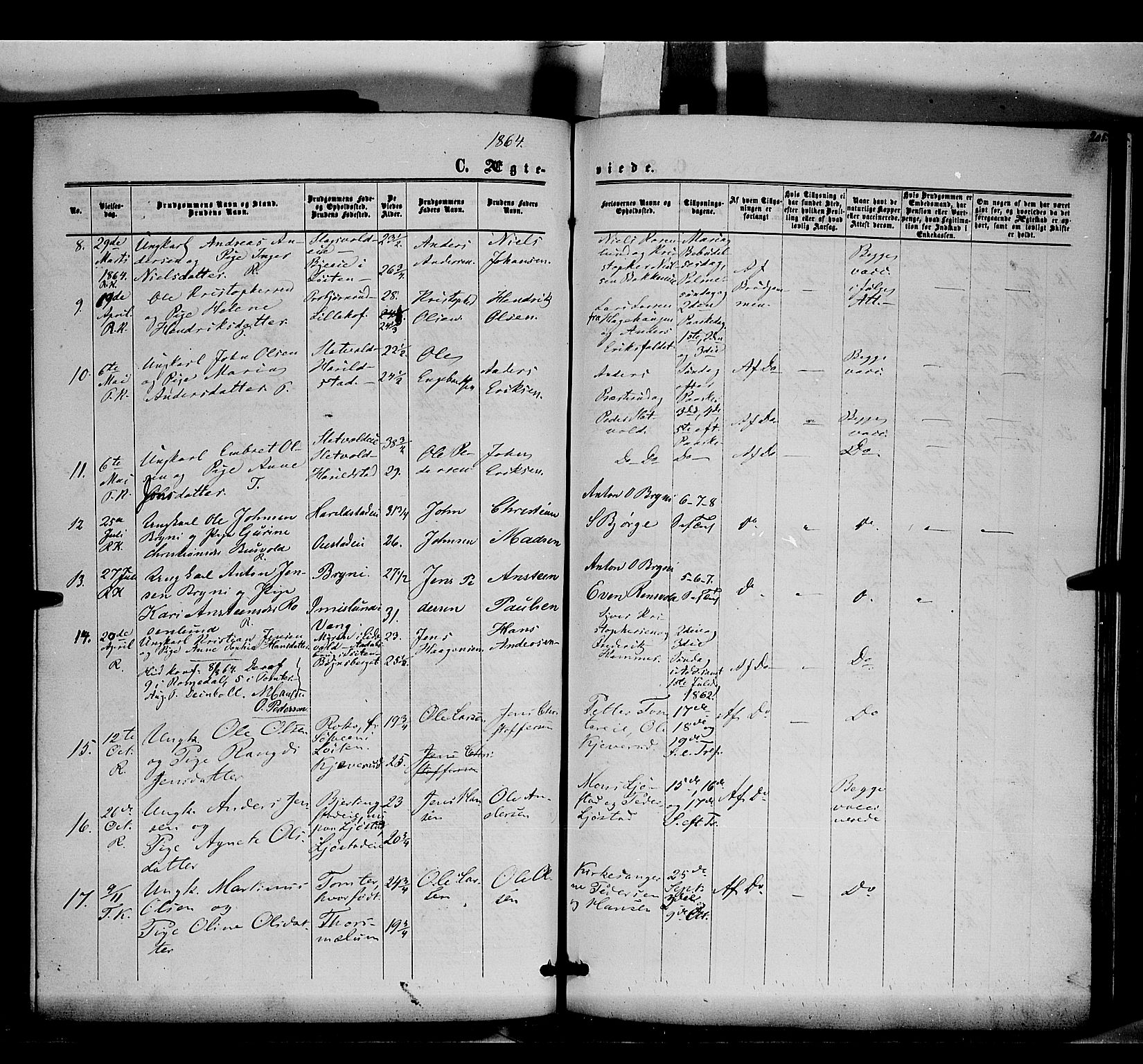 Romedal prestekontor, SAH/PREST-004/K/L0005: Parish register (official) no. 5, 1862-1874, p. 205