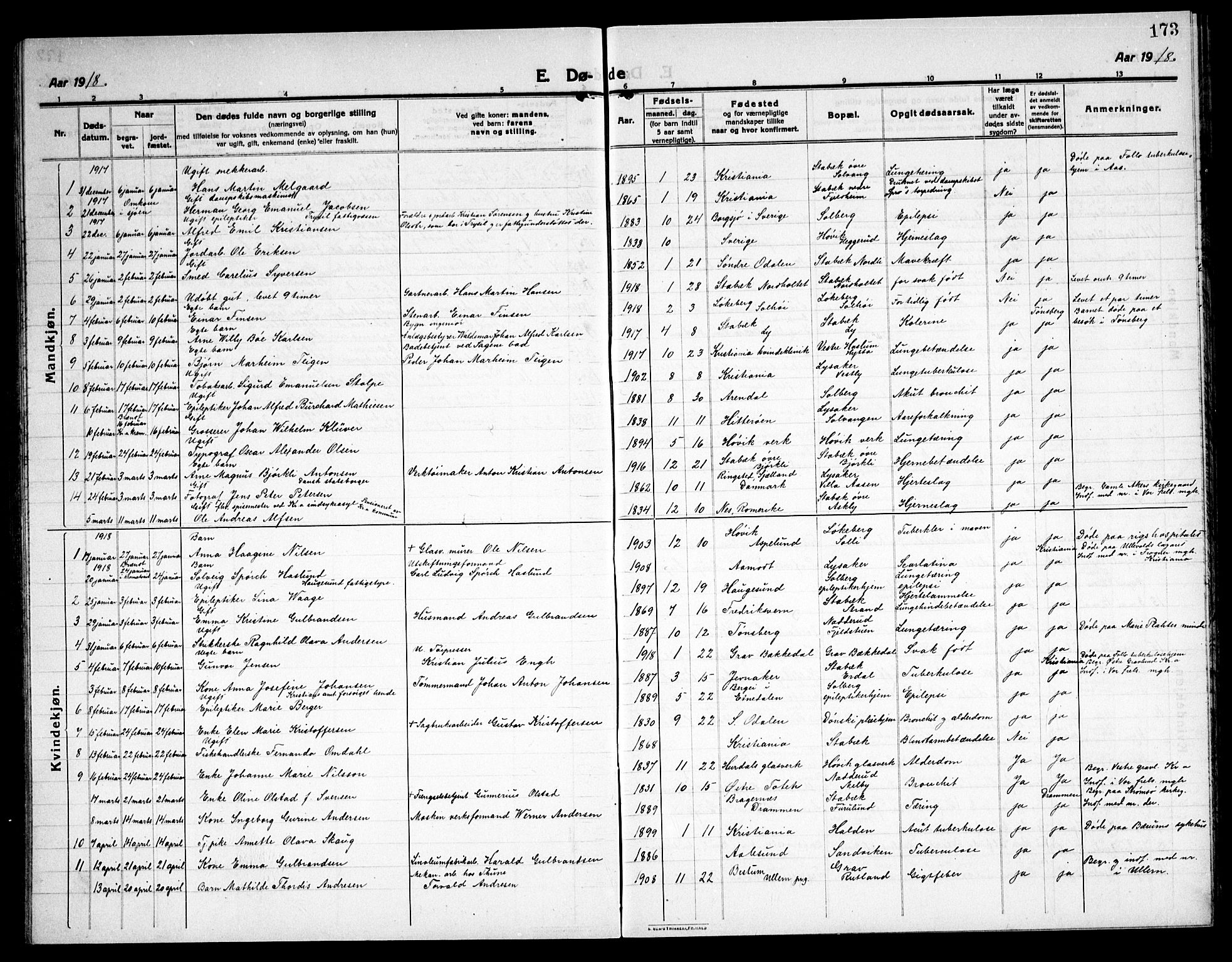 Østre Bærum prestekontor Kirkebøker, AV/SAO-A-10887/G/Ga/L0002: Parish register (copy) no. 2, 1912-1929, p. 173