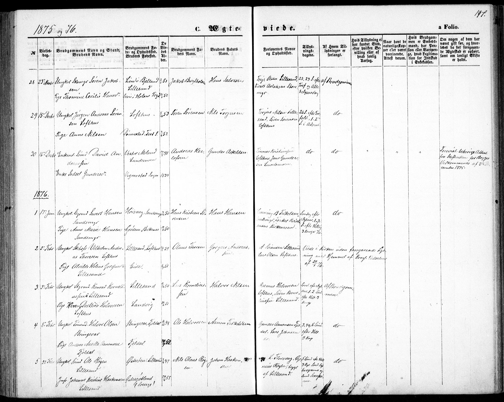 Vestre Moland sokneprestkontor, SAK/1111-0046/F/Fb/Fbb/L0005: Parish register (copy) no. B 5, 1872-1883, p. 197