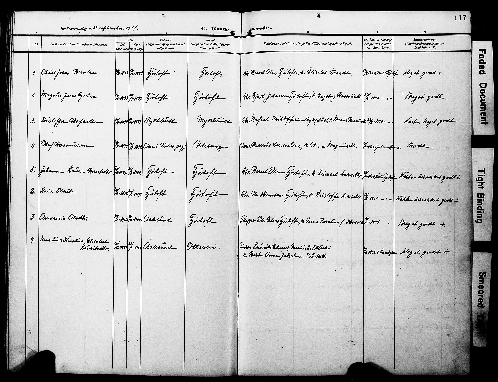 Ministerialprotokoller, klokkerbøker og fødselsregistre - Møre og Romsdal, AV/SAT-A-1454/538/L0524: Parish register (copy) no. 538C02, 1901-1931, p. 117