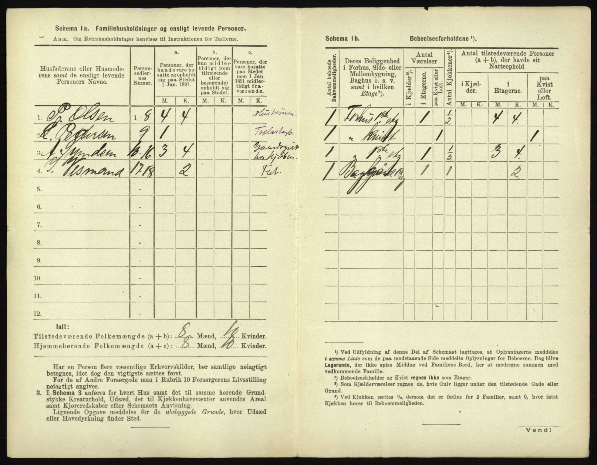 RA, 1891 census for 0101 Fredrikshald, 1891, p. 197