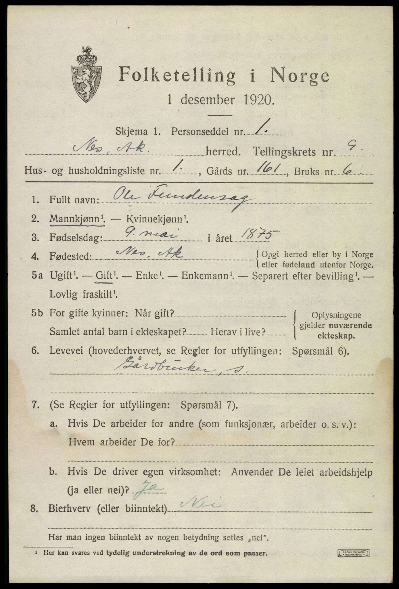 SAO, 1920 census for Nes, 1920, p. 9918