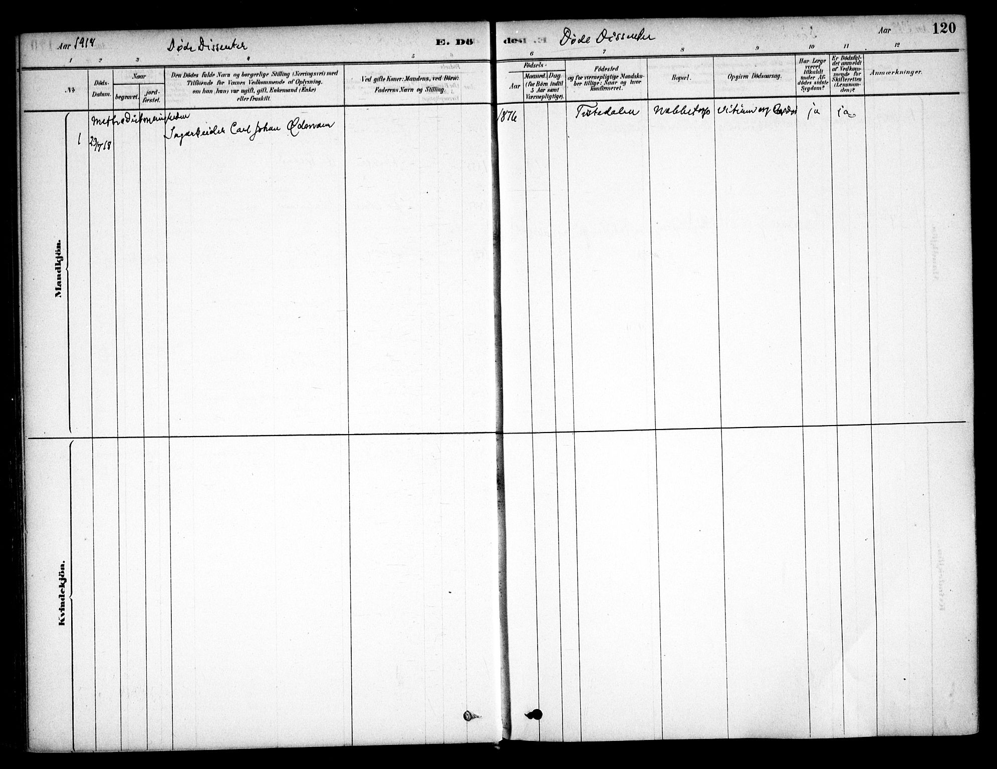 Østre Fredrikstad prestekontor Kirkebøker, AV/SAO-A-10907/F/Fa/L0001: Parish register (official) no. 1, 1878-1982, p. 120