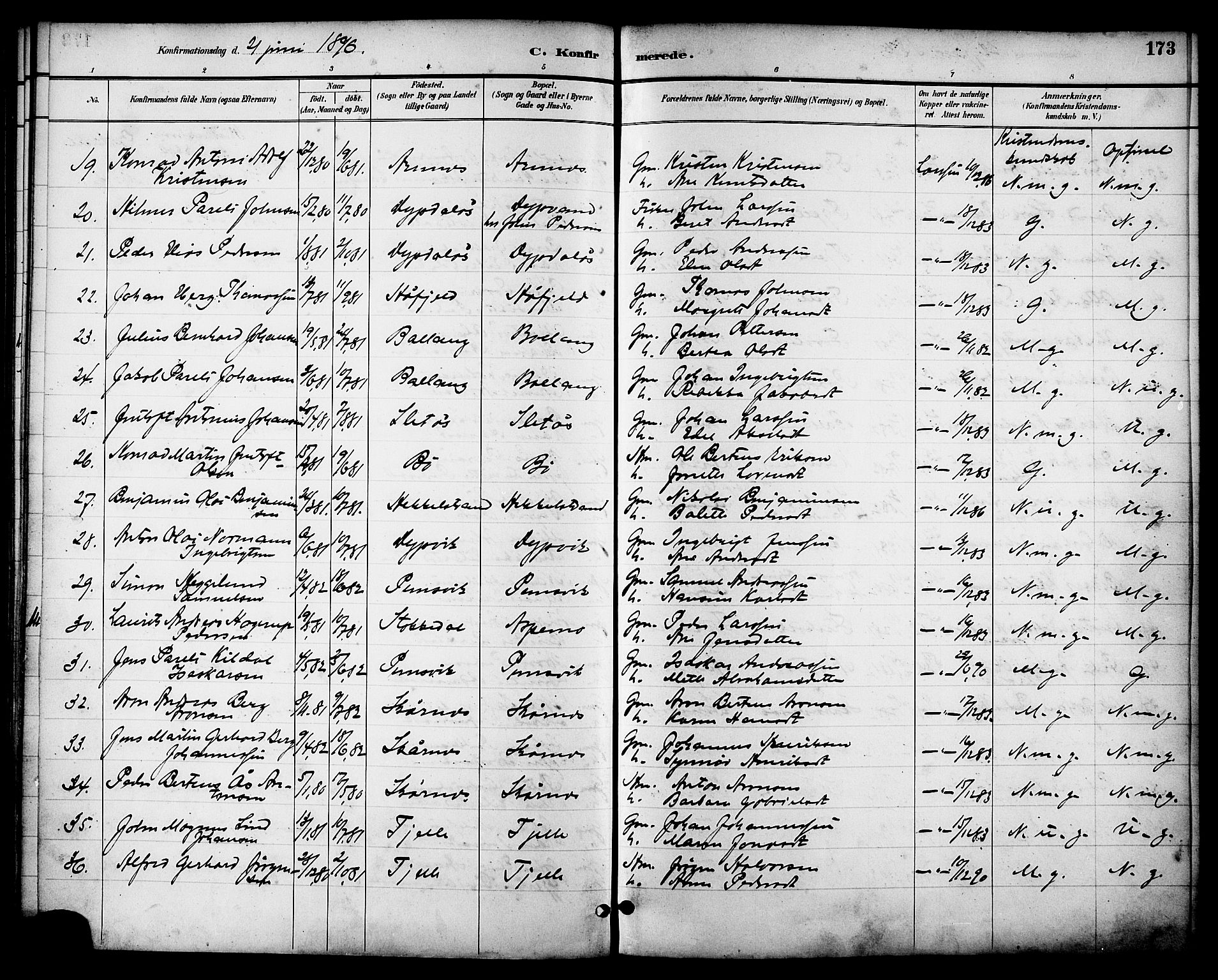 Ministerialprotokoller, klokkerbøker og fødselsregistre - Nordland, AV/SAT-A-1459/863/L0898: Parish register (official) no. 863A10, 1886-1897, p. 173