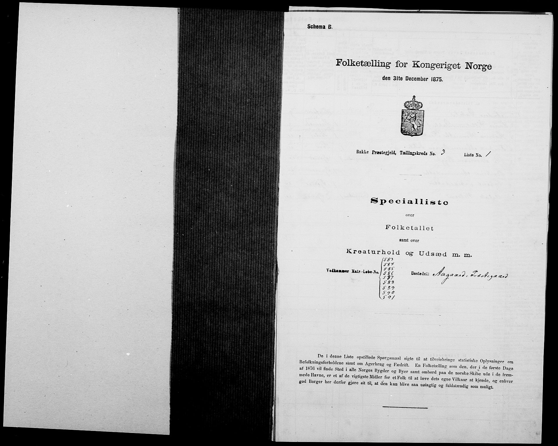 SAK, 1875 census for 1045P Bakke, 1875, p. 221