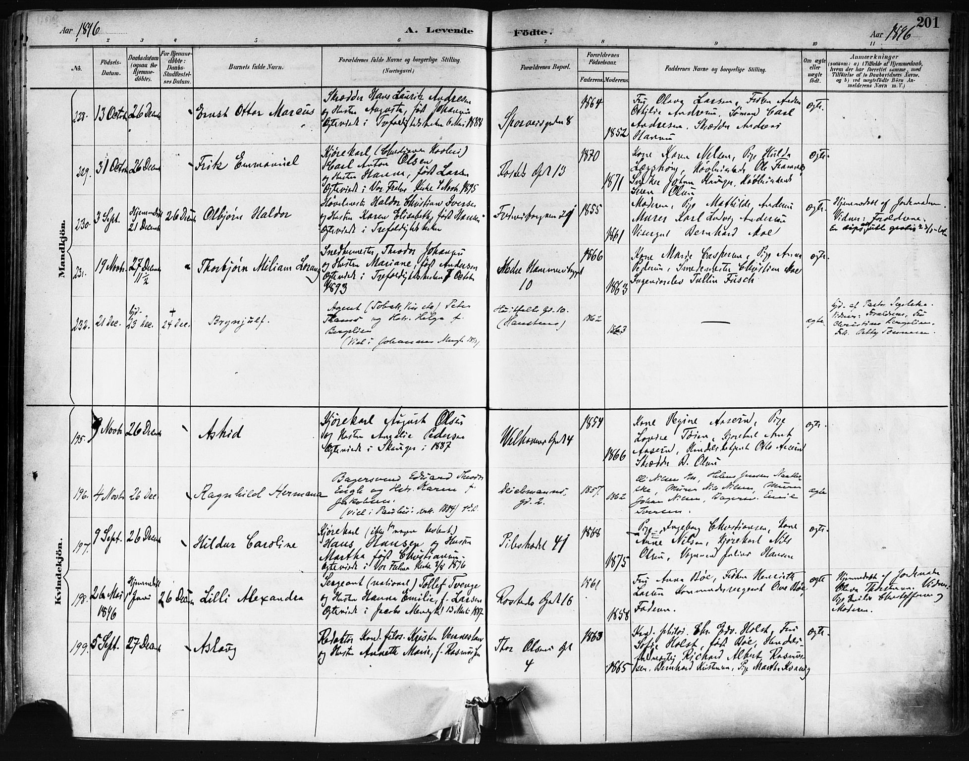 Trefoldighet prestekontor Kirkebøker, AV/SAO-A-10882/F/Fa/L0006: Parish register (official) no. I 6, 1891-1899, p. 201