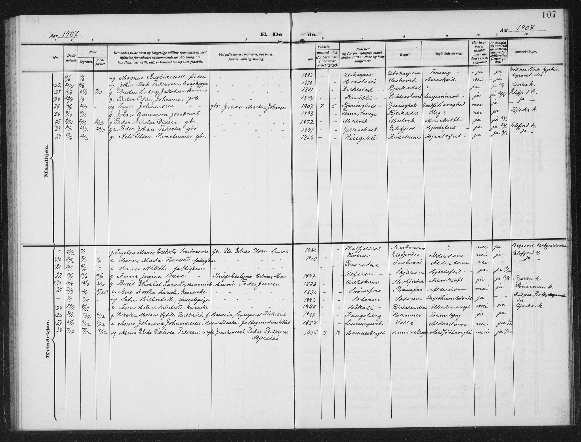 Ministerialprotokoller, klokkerbøker og fødselsregistre - Nordland, SAT/A-1459/825/L0371: Parish register (copy) no. 825C08, 1907-1940, p. 107