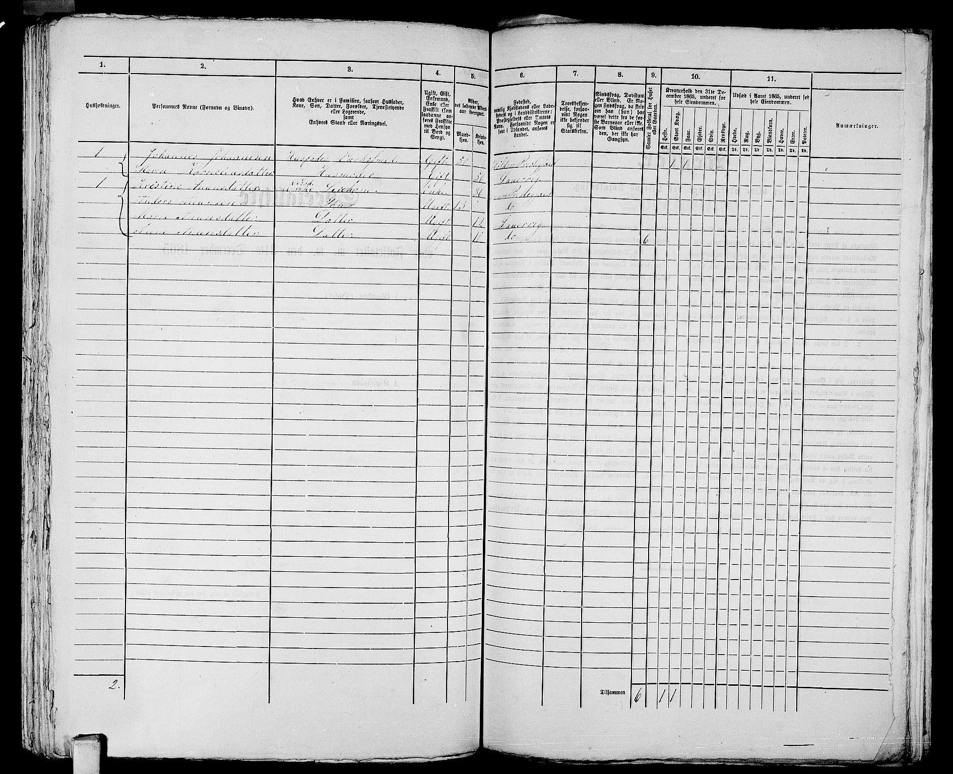 RA, 1865 census for Larvik, 1865, p. 1064