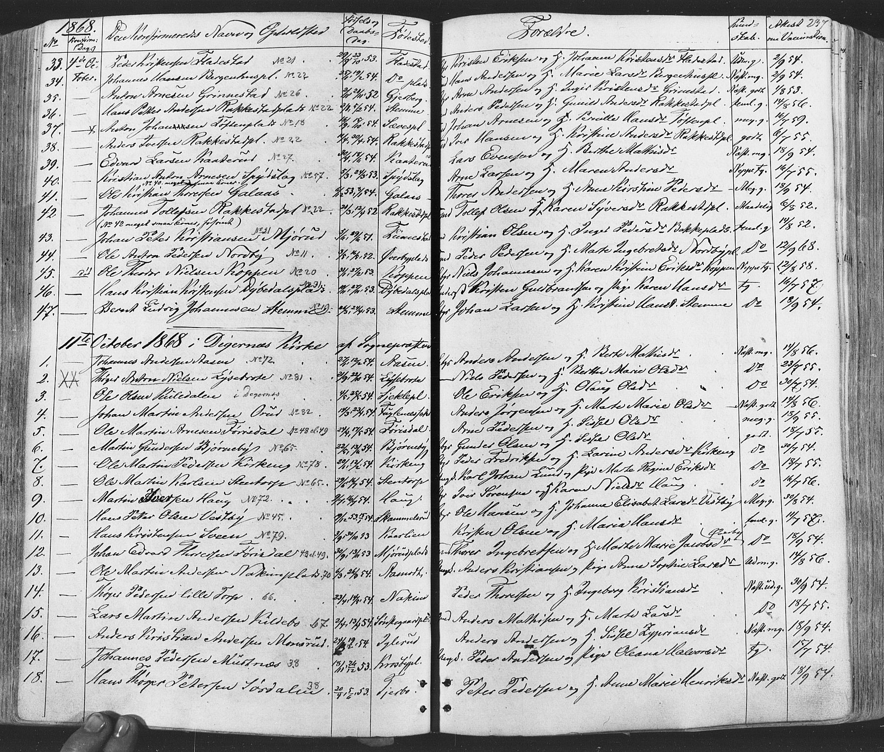 Rakkestad prestekontor Kirkebøker, SAO/A-2008/F/Fa/L0011: Parish register (official) no. I 11, 1862-1877, p. 237