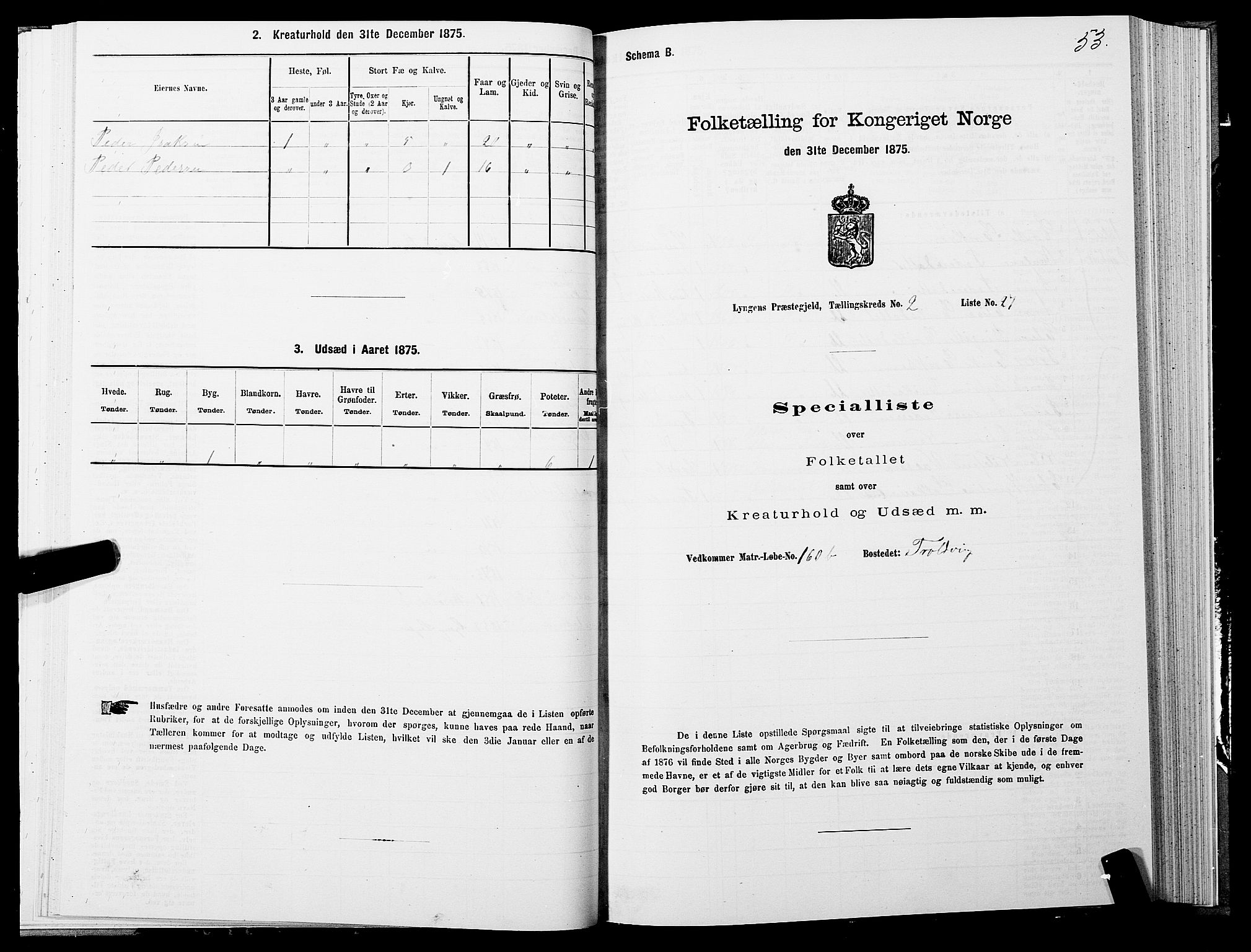 SATØ, 1875 census for 1938P Lyngen, 1875, p. 2053