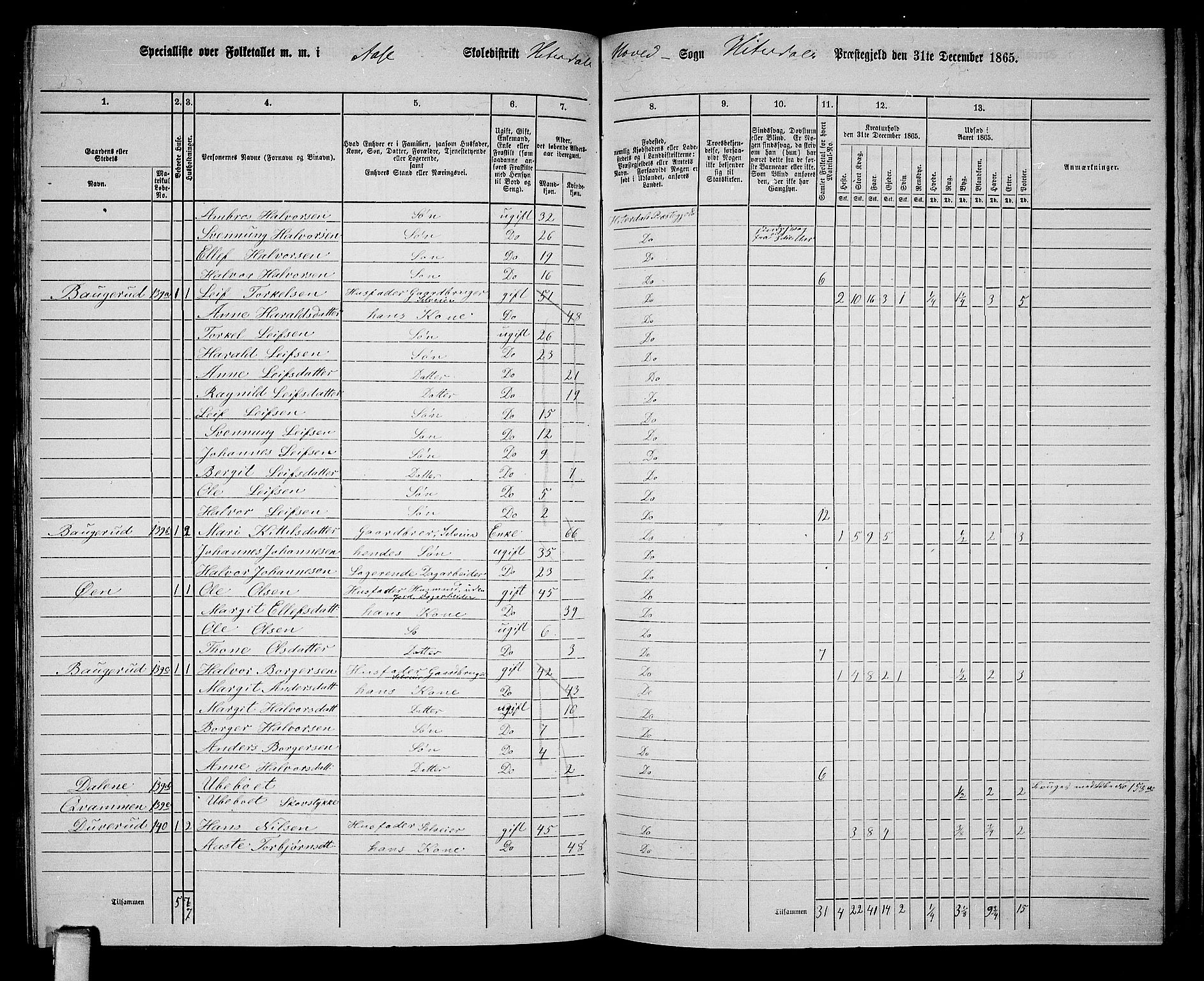 RA, 1865 census for Heddal, 1865, p. 114