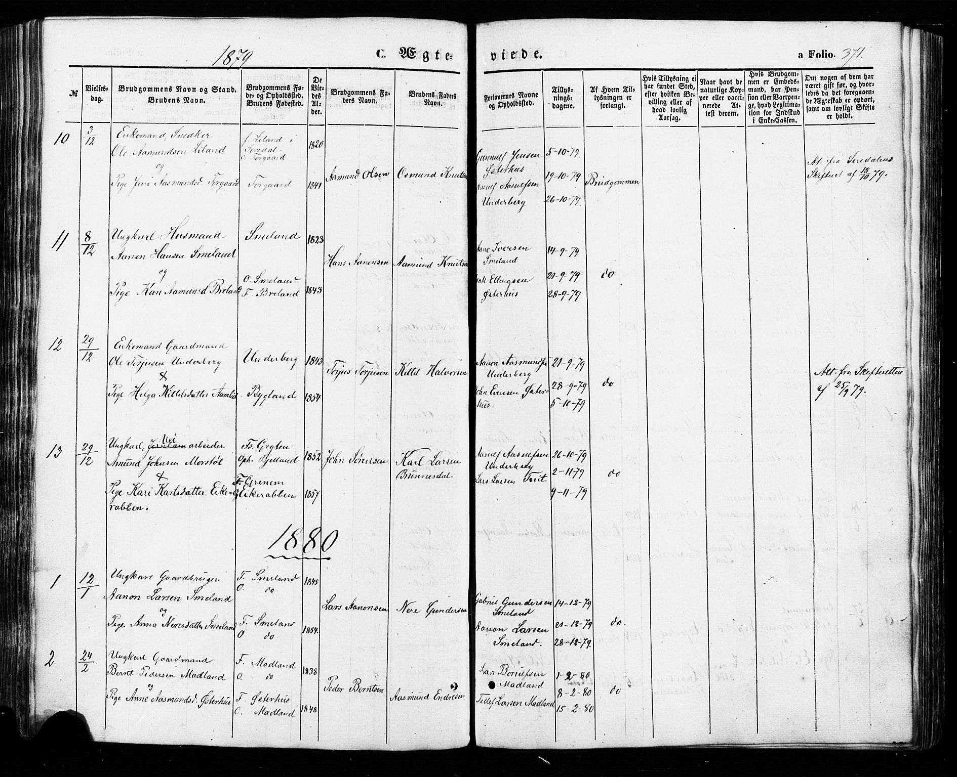 Åseral sokneprestkontor, SAK/1111-0051/F/Fa/L0002: Parish register (official) no. A 2, 1854-1884, p. 371