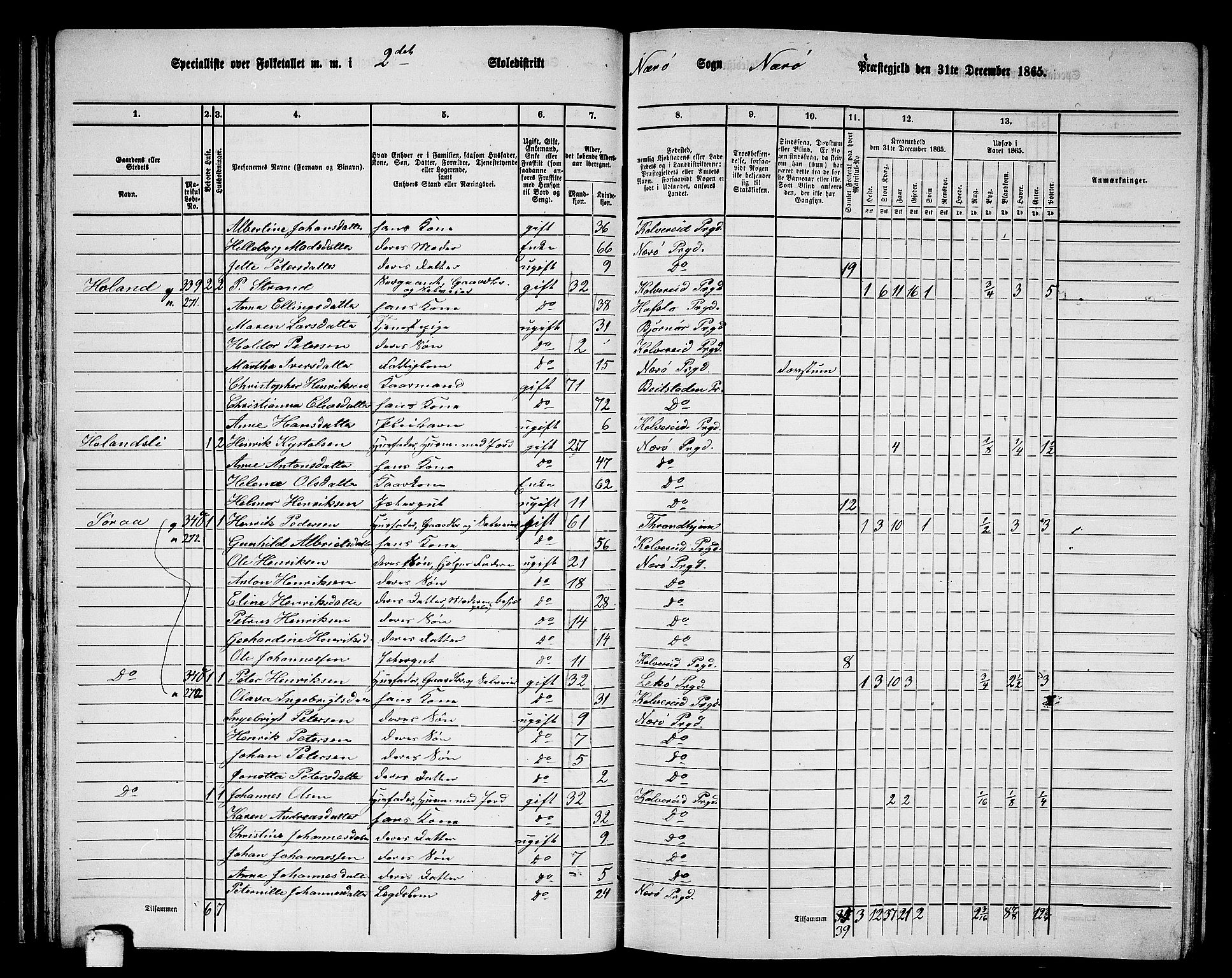 RA, 1865 census for Nærøy, 1865, p. 40