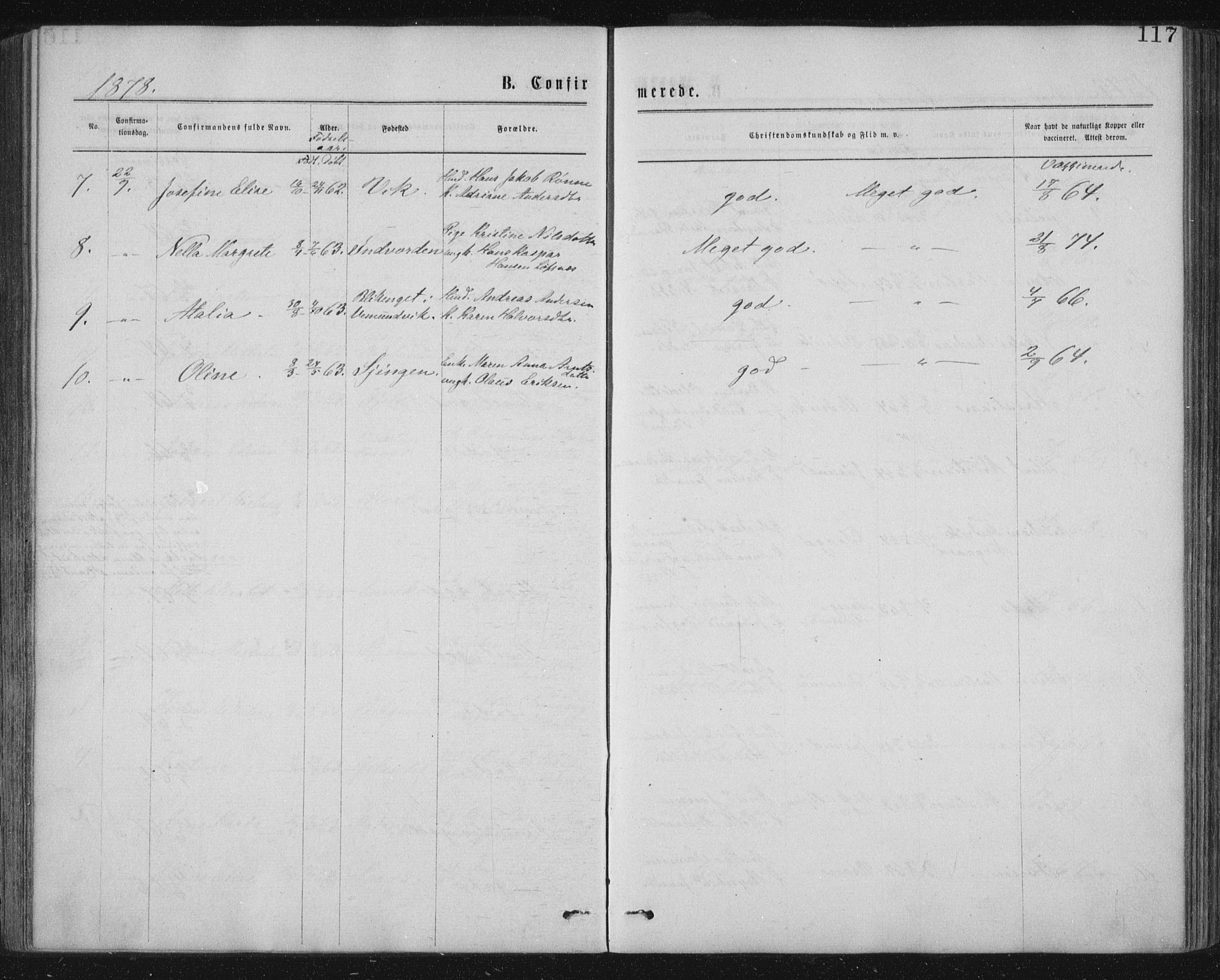 Ministerialprotokoller, klokkerbøker og fødselsregistre - Nord-Trøndelag, SAT/A-1458/771/L0596: Parish register (official) no. 771A03, 1870-1884, p. 117