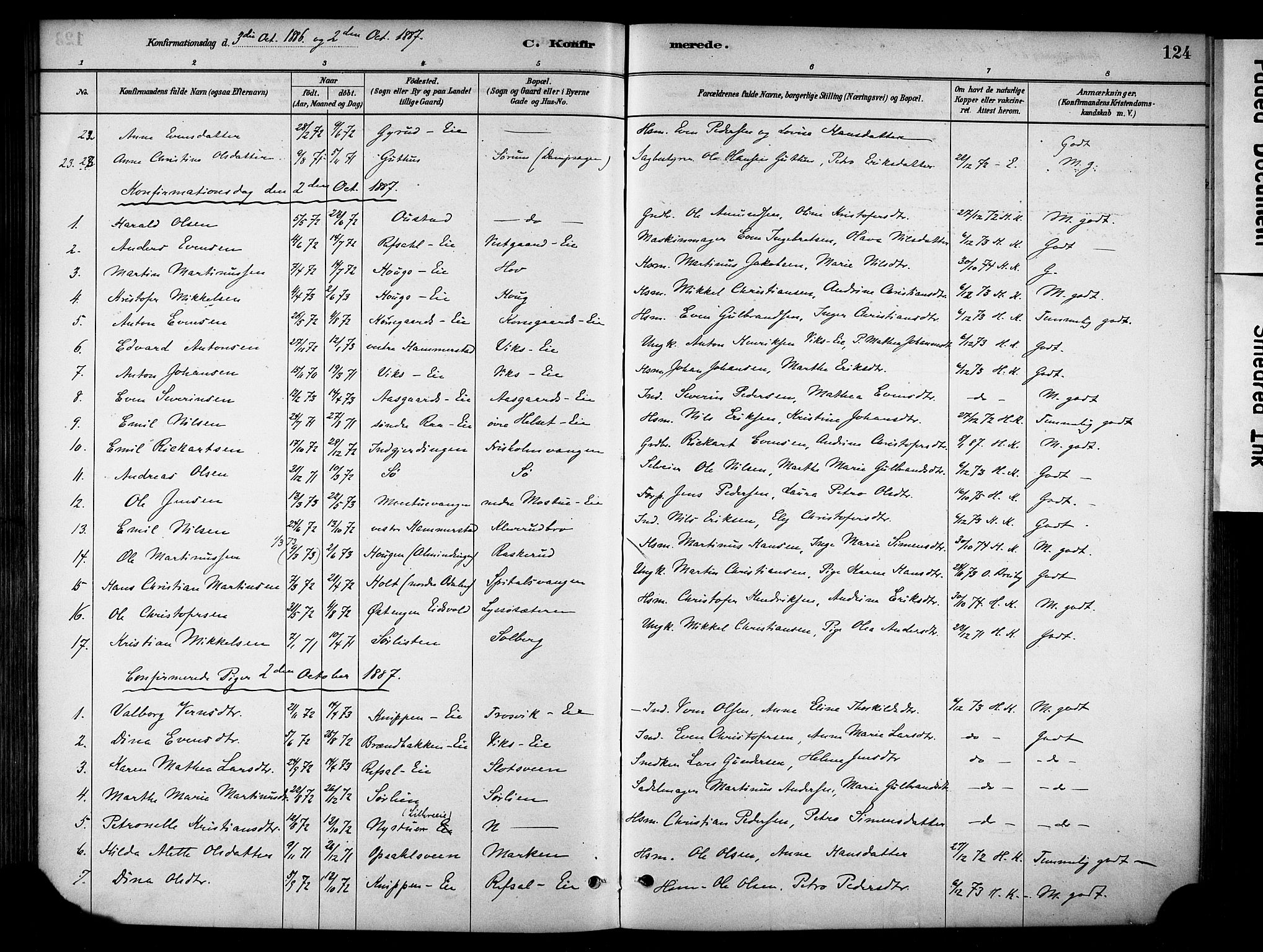 Stange prestekontor, SAH/PREST-002/K/L0018: Parish register (official) no. 18, 1880-1896, p. 124