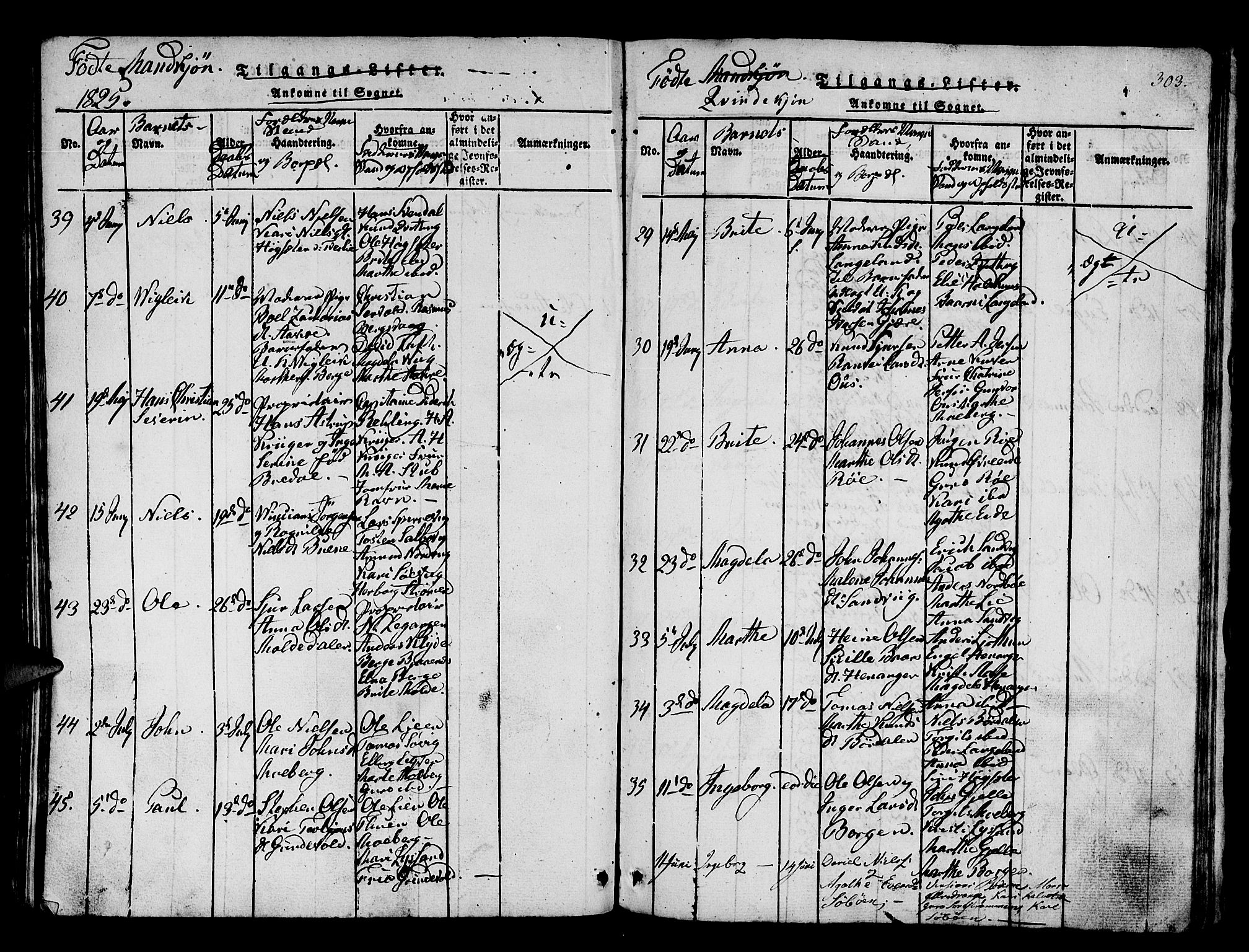 Os sokneprestembete, SAB/A-99929: Parish register (official) no. A 12, 1816-1825, p. 303
