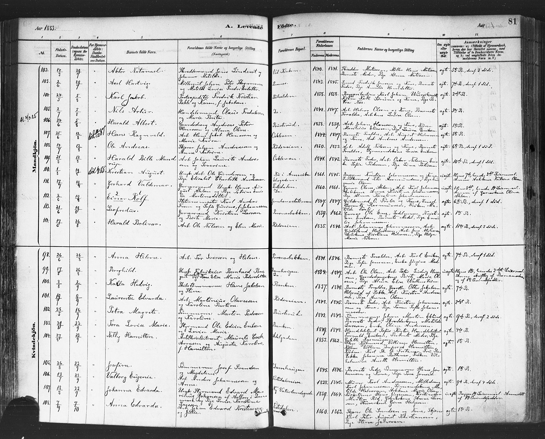 Halden prestekontor Kirkebøker, AV/SAO-A-10909/F/Fa/L0011: Parish register (official) no. I 11, 1878-1889, p. 81