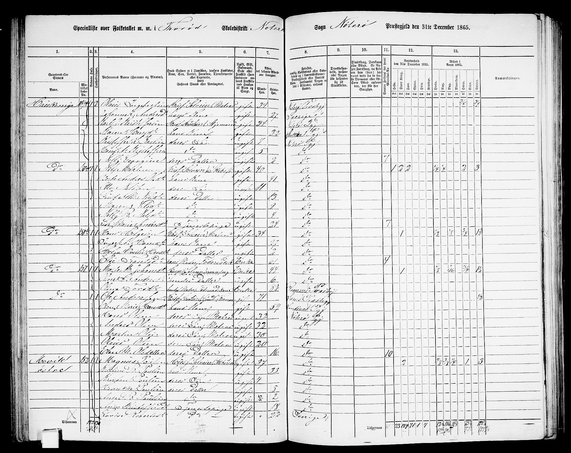 RA, 1865 census for Nøtterøy, 1865, p. 113