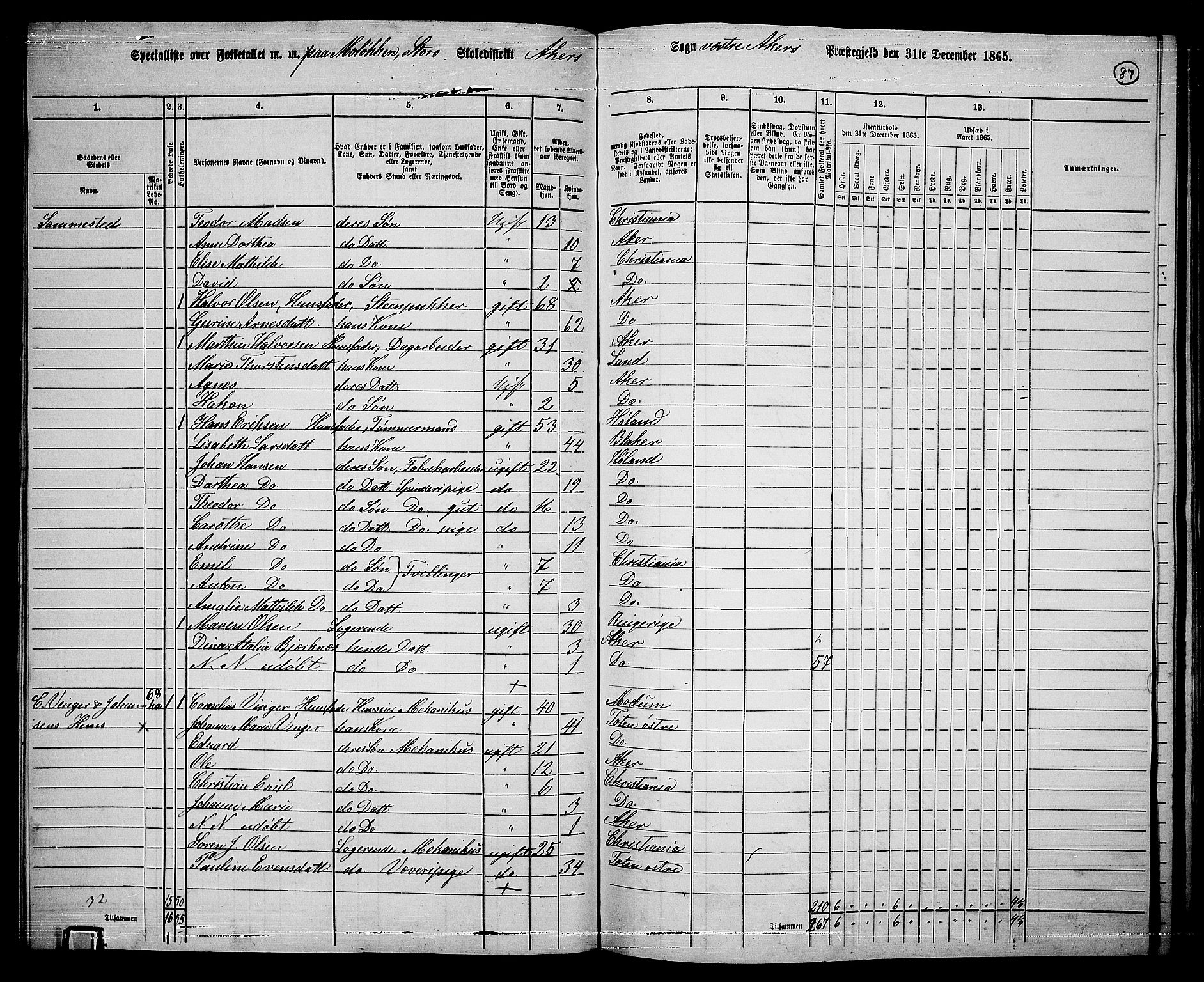 RA, 1865 census for Vestre Aker, 1865, p. 255