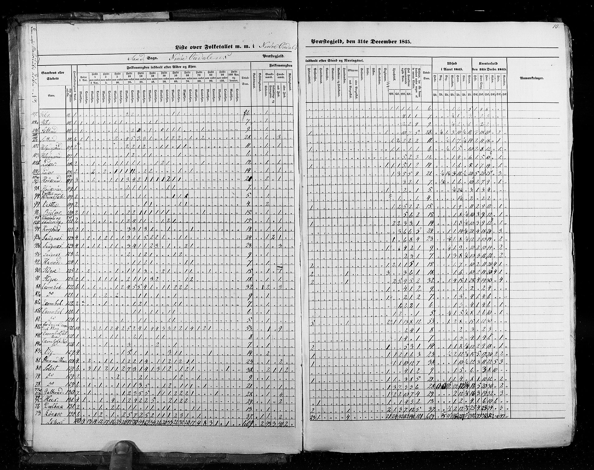 RA, Census 1845, vol. 3: Hedemarken amt og Kristians amt, 1845, p. 10