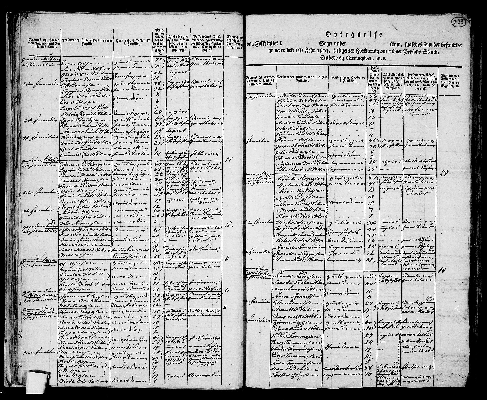 RA, 1801 census for 1024P Bjelland, 1801, p. 222b-223a