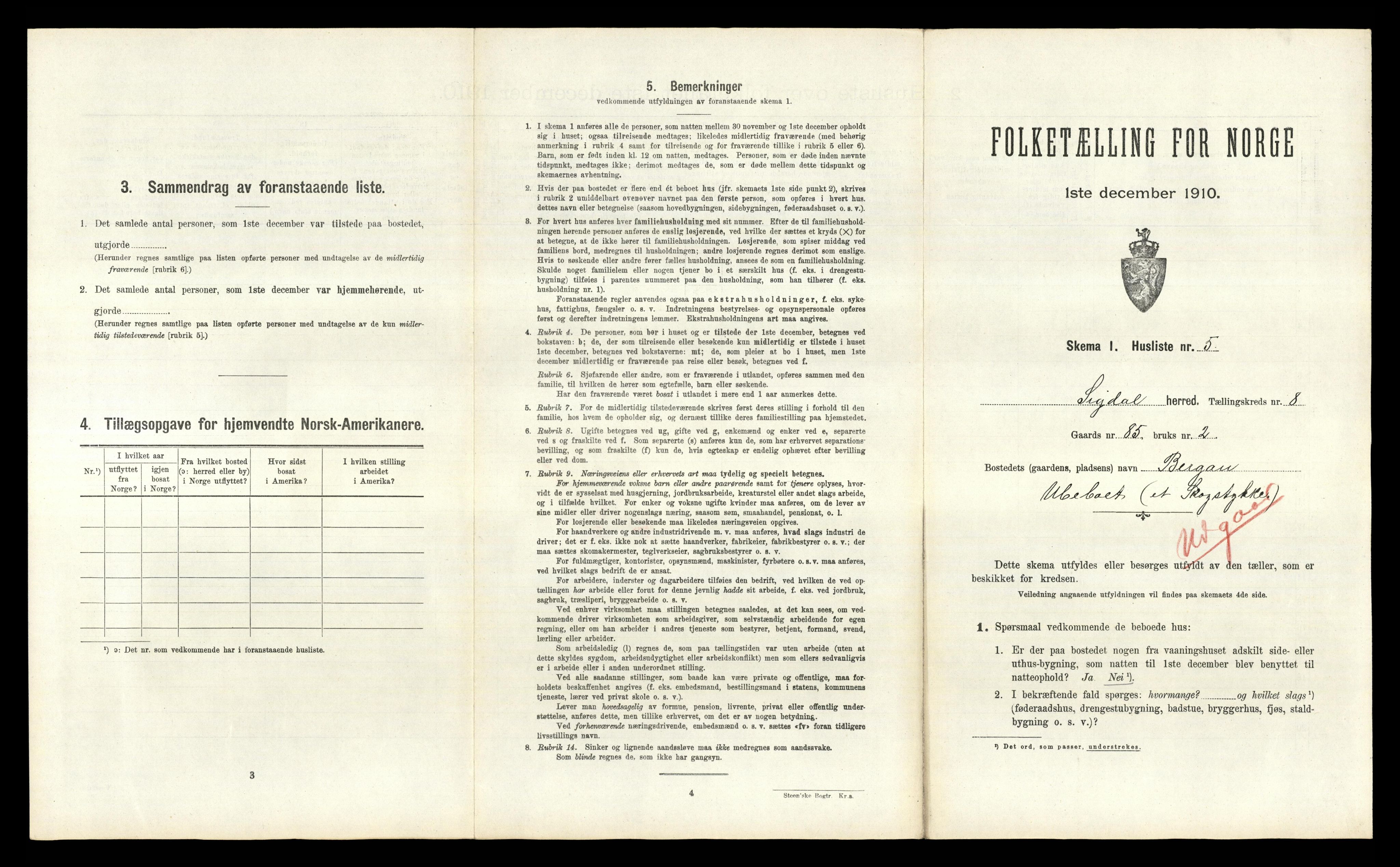 RA, 1910 census for Sigdal, 1910, p. 854