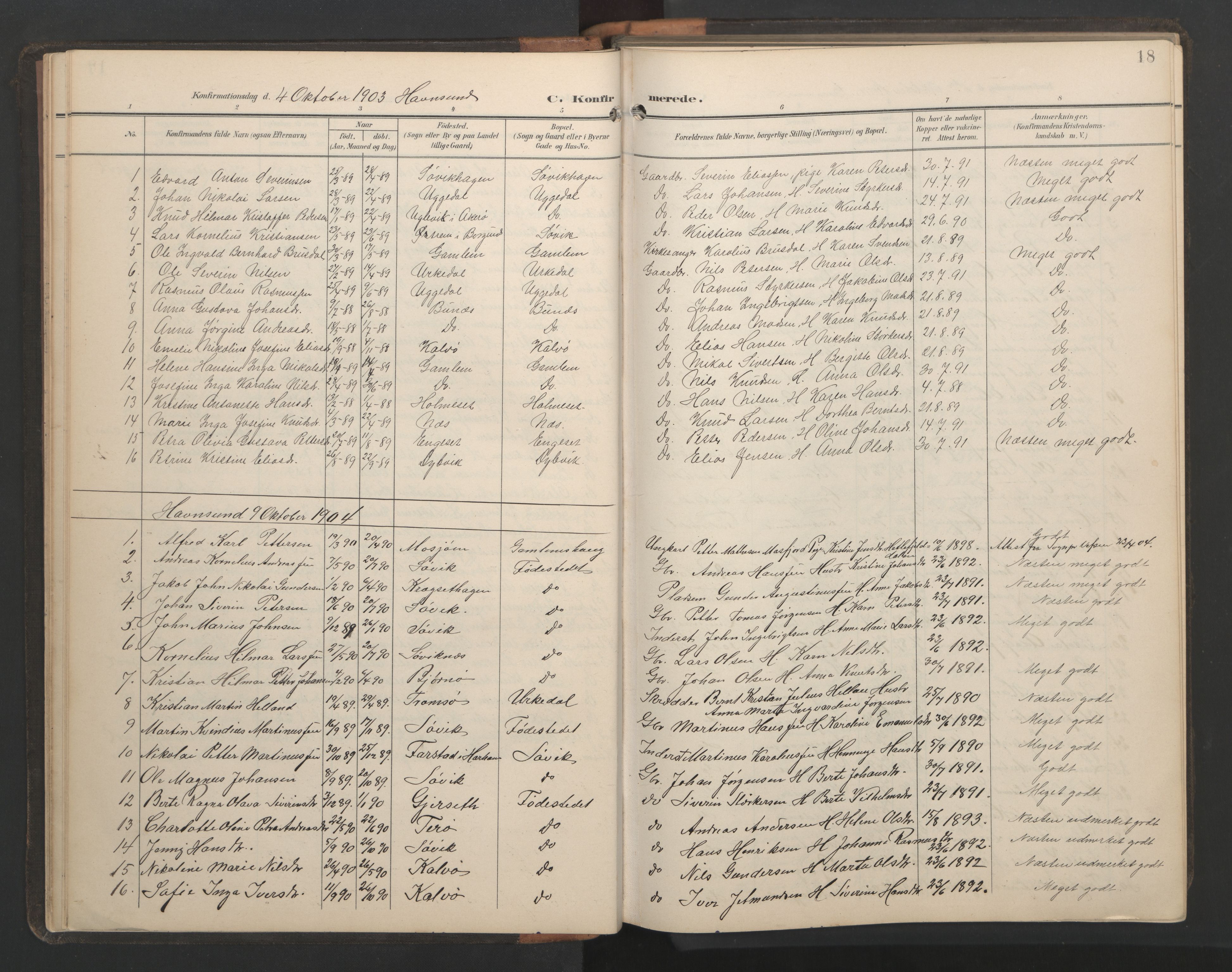 Ministerialprotokoller, klokkerbøker og fødselsregistre - Møre og Romsdal, AV/SAT-A-1454/528/L0433: Parish register (copy) no. 528C14, 1899-1922, p. 18