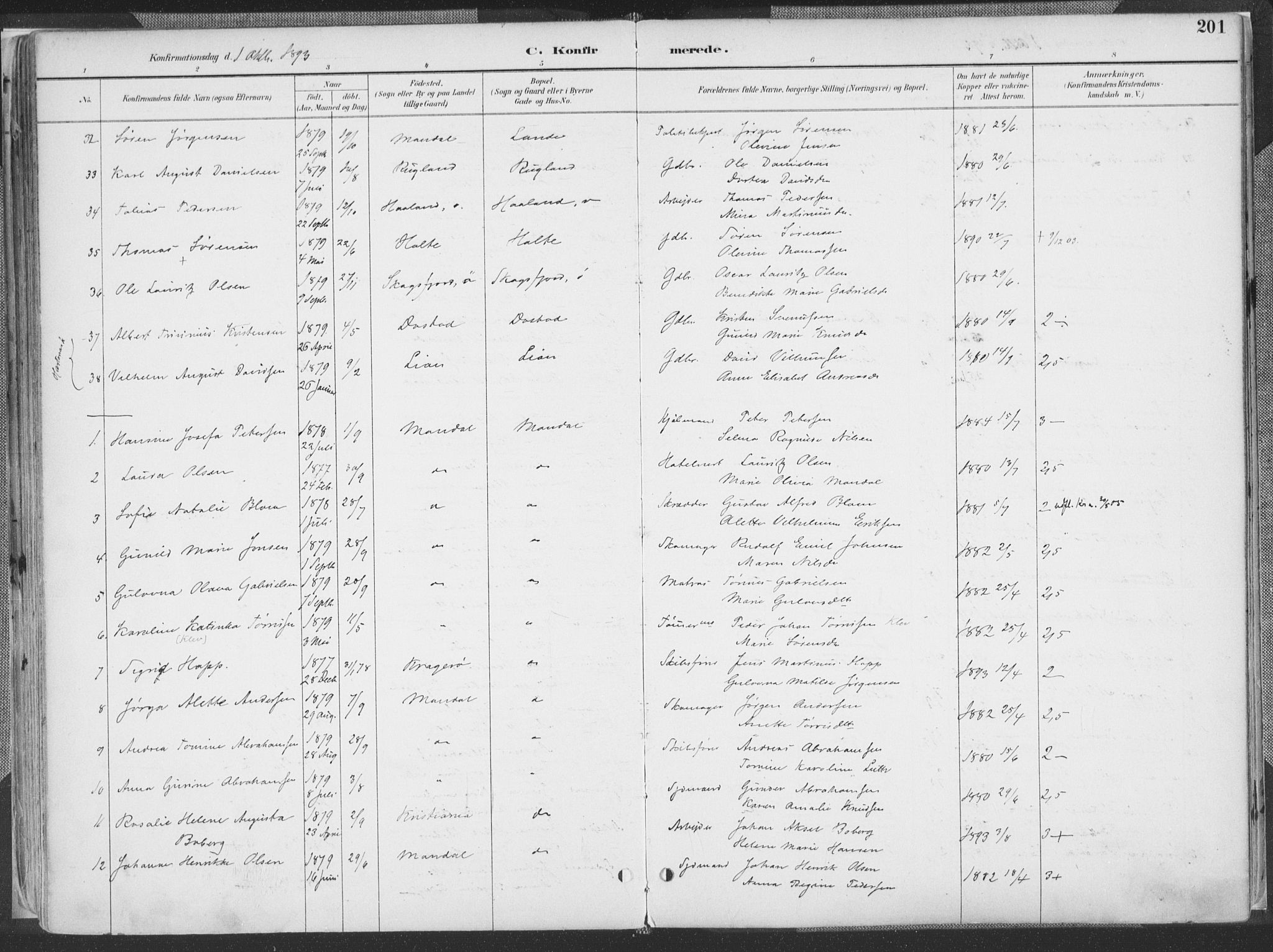 Mandal sokneprestkontor, AV/SAK-1111-0030/F/Fa/Faa/L0018: Parish register (official) no. A 18, 1890-1905, p. 201