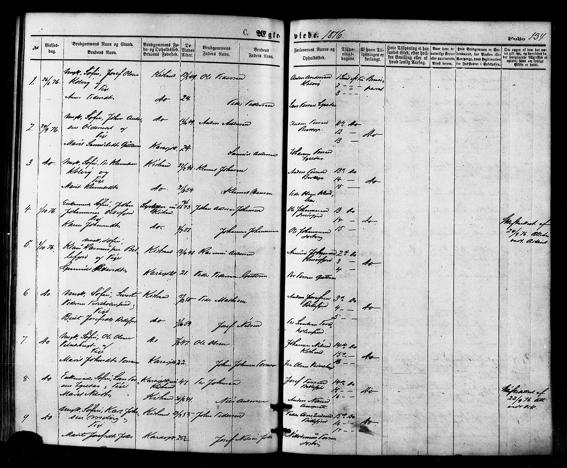 Kistrand/Porsanger sokneprestembete, SATØ/S-1351/H/Ha/L0006.kirke: Parish register (official) no. 6, 1875-1880, p. 134
