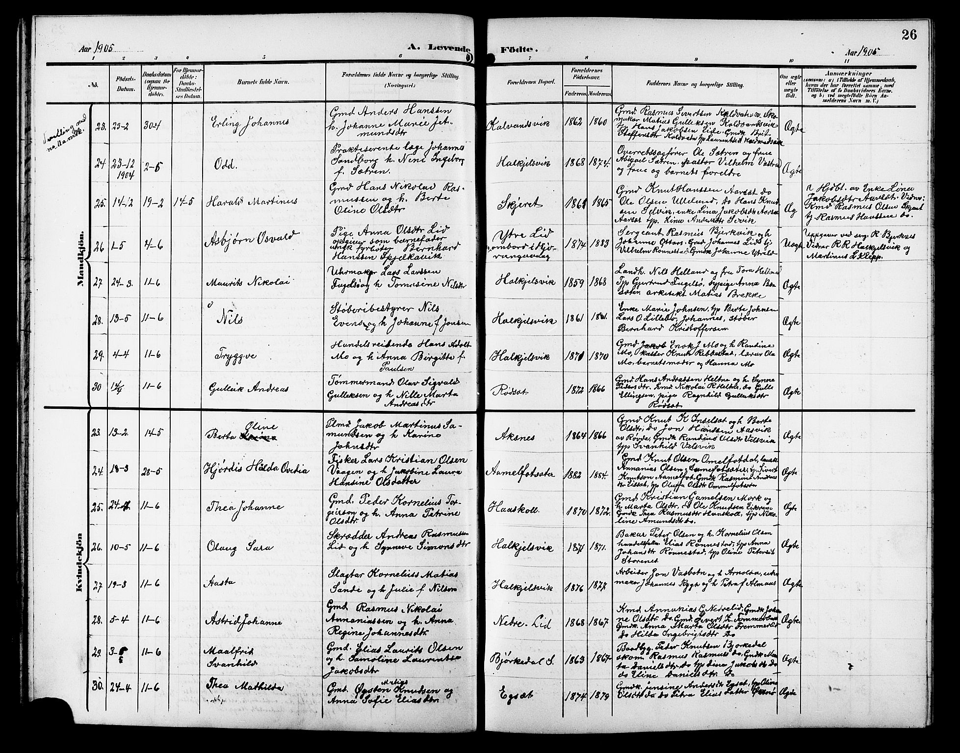 Ministerialprotokoller, klokkerbøker og fødselsregistre - Møre og Romsdal, AV/SAT-A-1454/511/L0159: Parish register (copy) no. 511C05, 1902-1920, p. 26