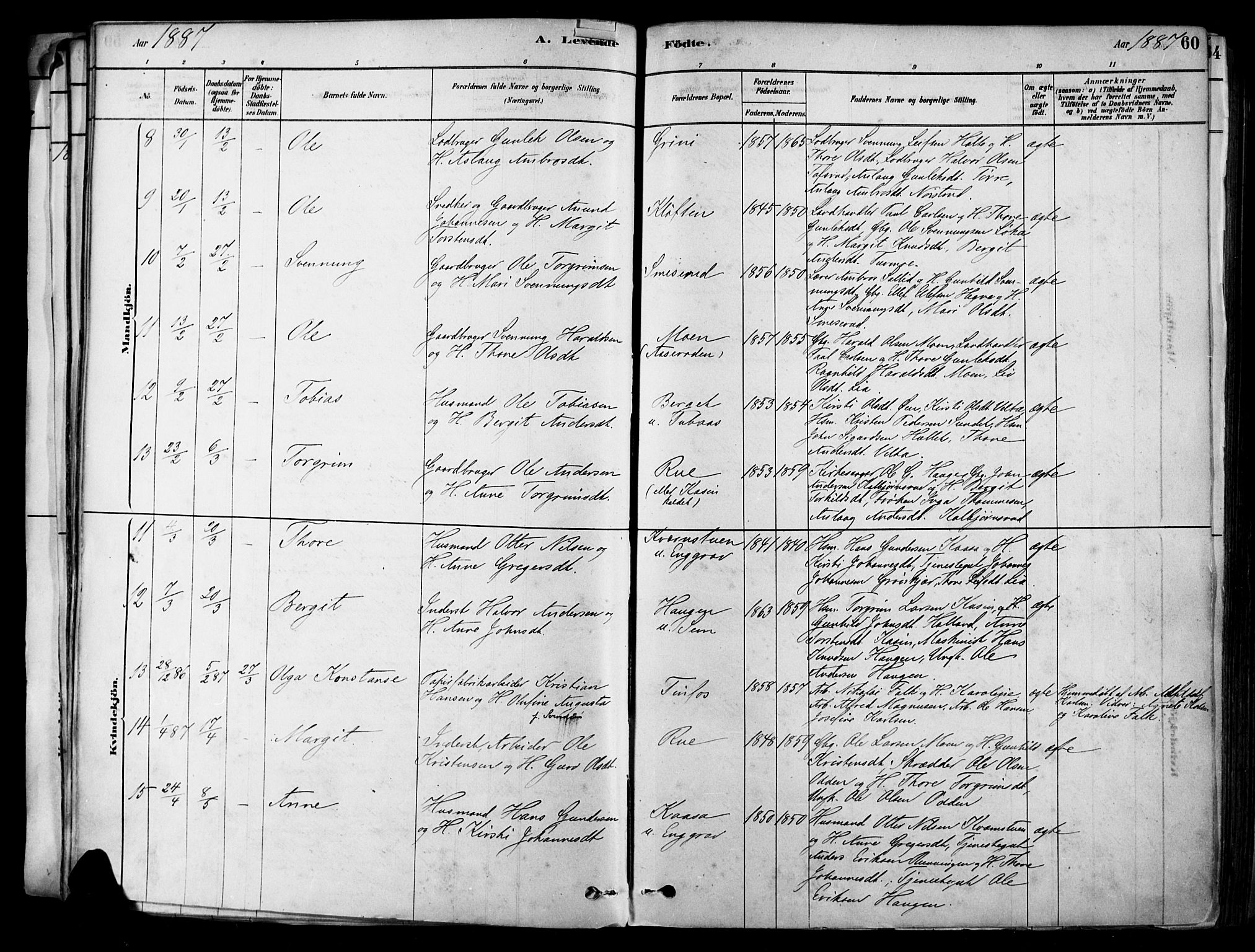 Heddal kirkebøker, AV/SAKO-A-268/F/Fa/L0008: Parish register (official) no. I 8, 1878-1903, p. 60