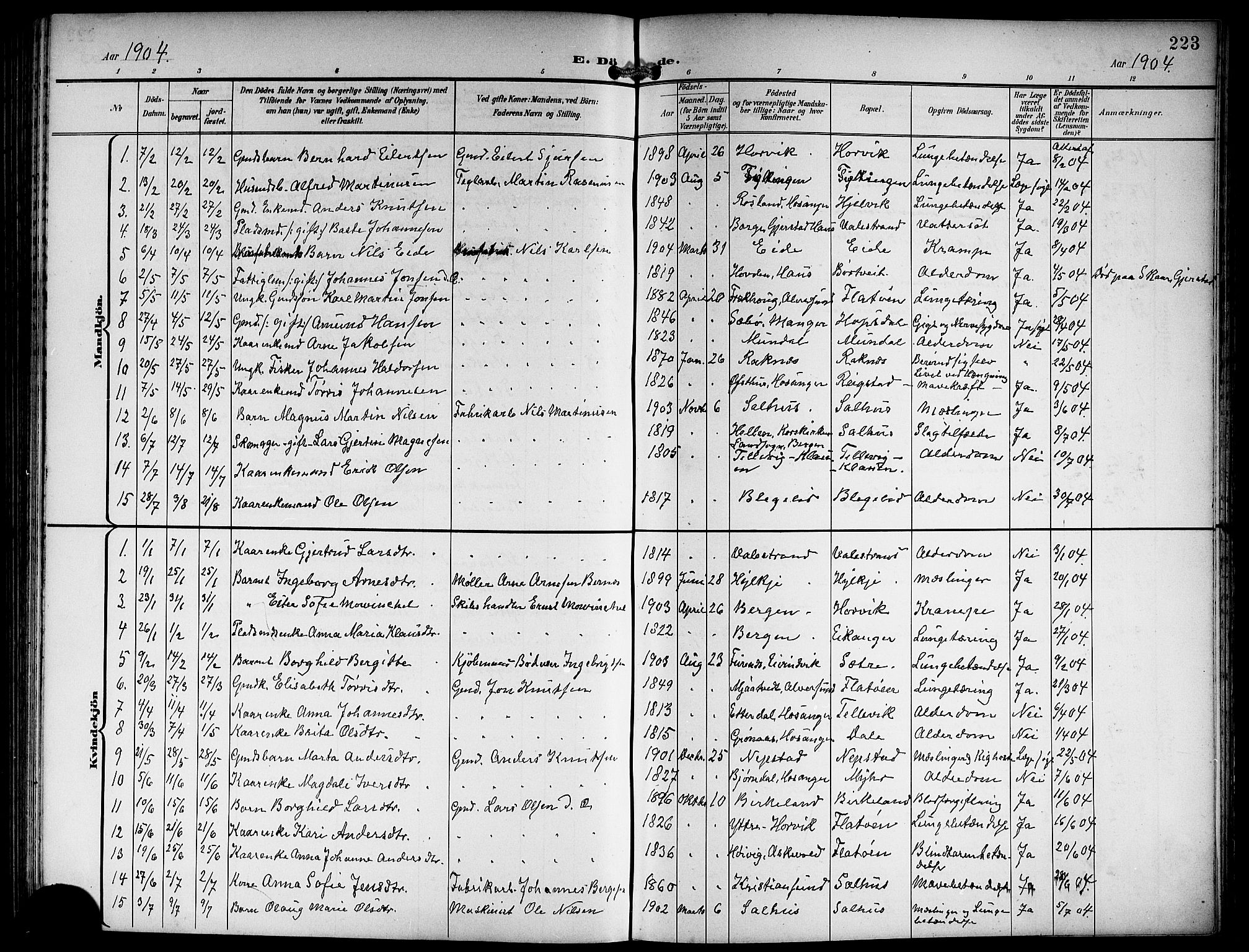 Hamre sokneprestembete, SAB/A-75501/H/Ha/Hab: Parish register (copy) no. B 4, 1898-1919, p. 223