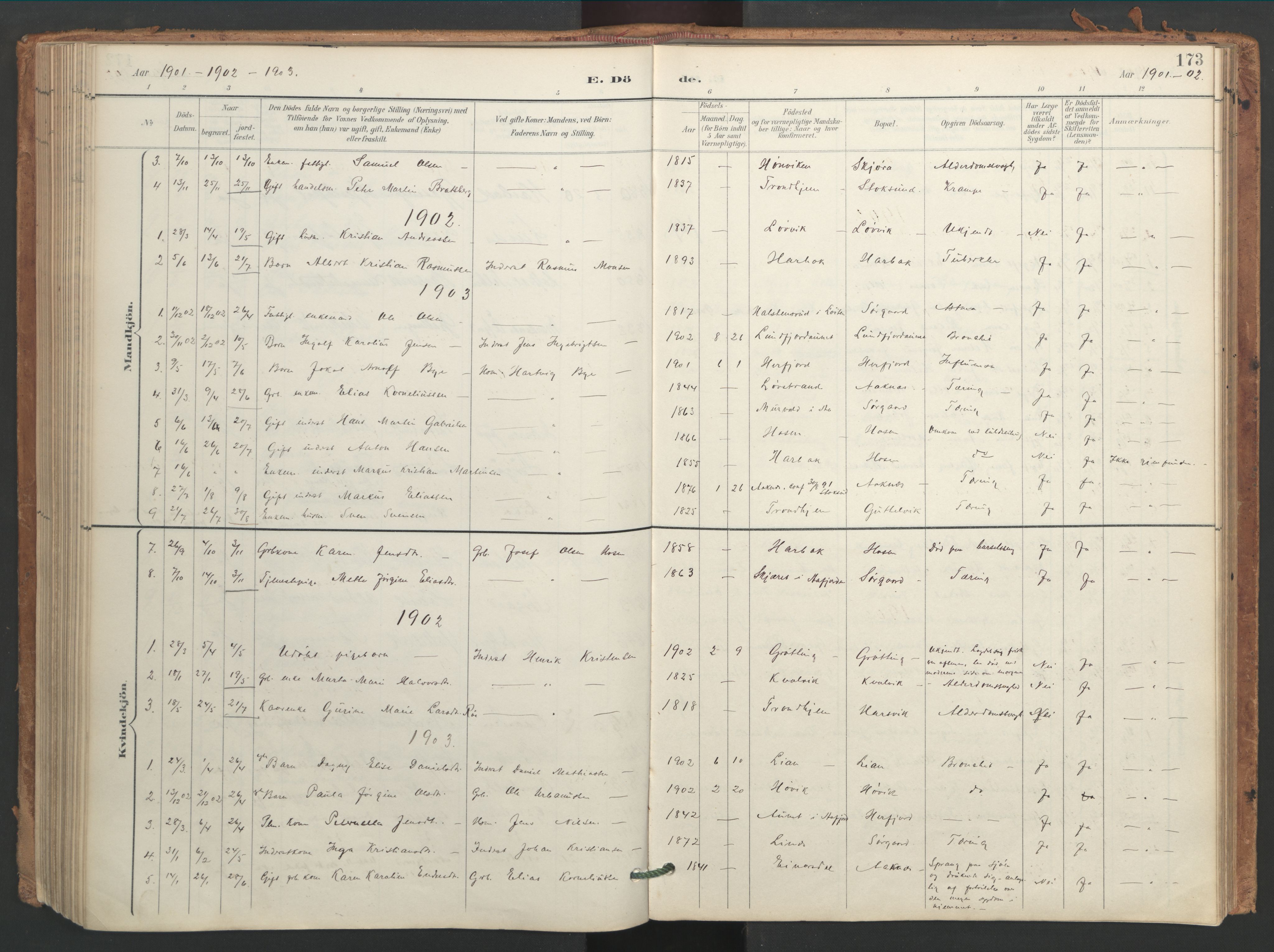 Ministerialprotokoller, klokkerbøker og fødselsregistre - Sør-Trøndelag, SAT/A-1456/656/L0693: Parish register (official) no. 656A02, 1894-1913, p. 173