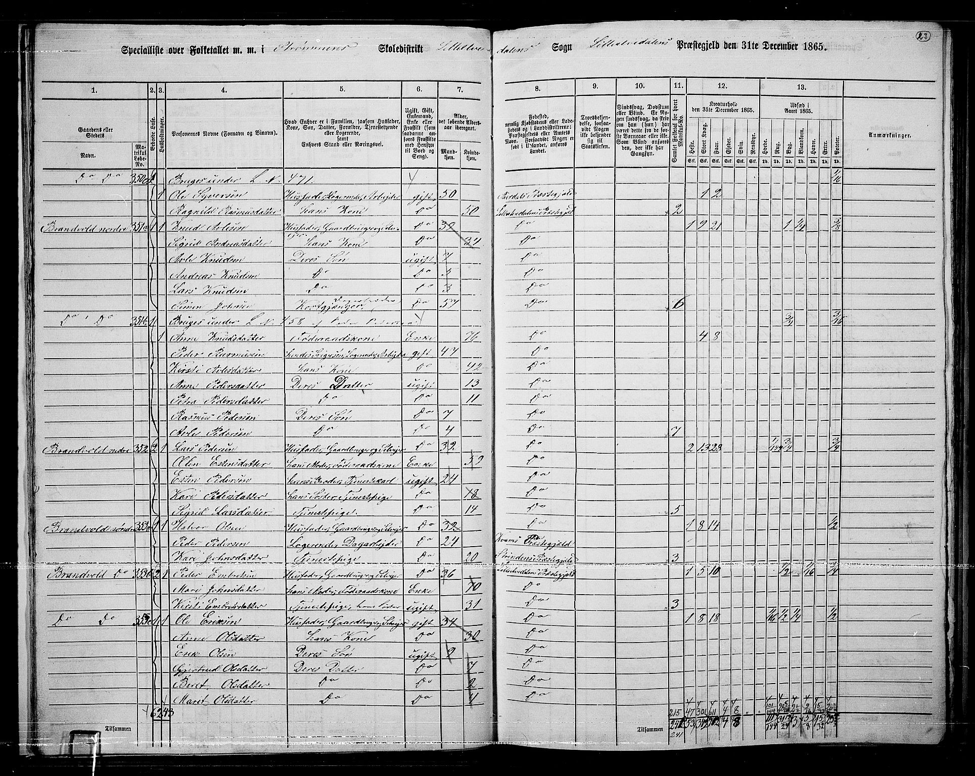 RA, 1865 census for Lille Elvedalen, 1865, p. 22