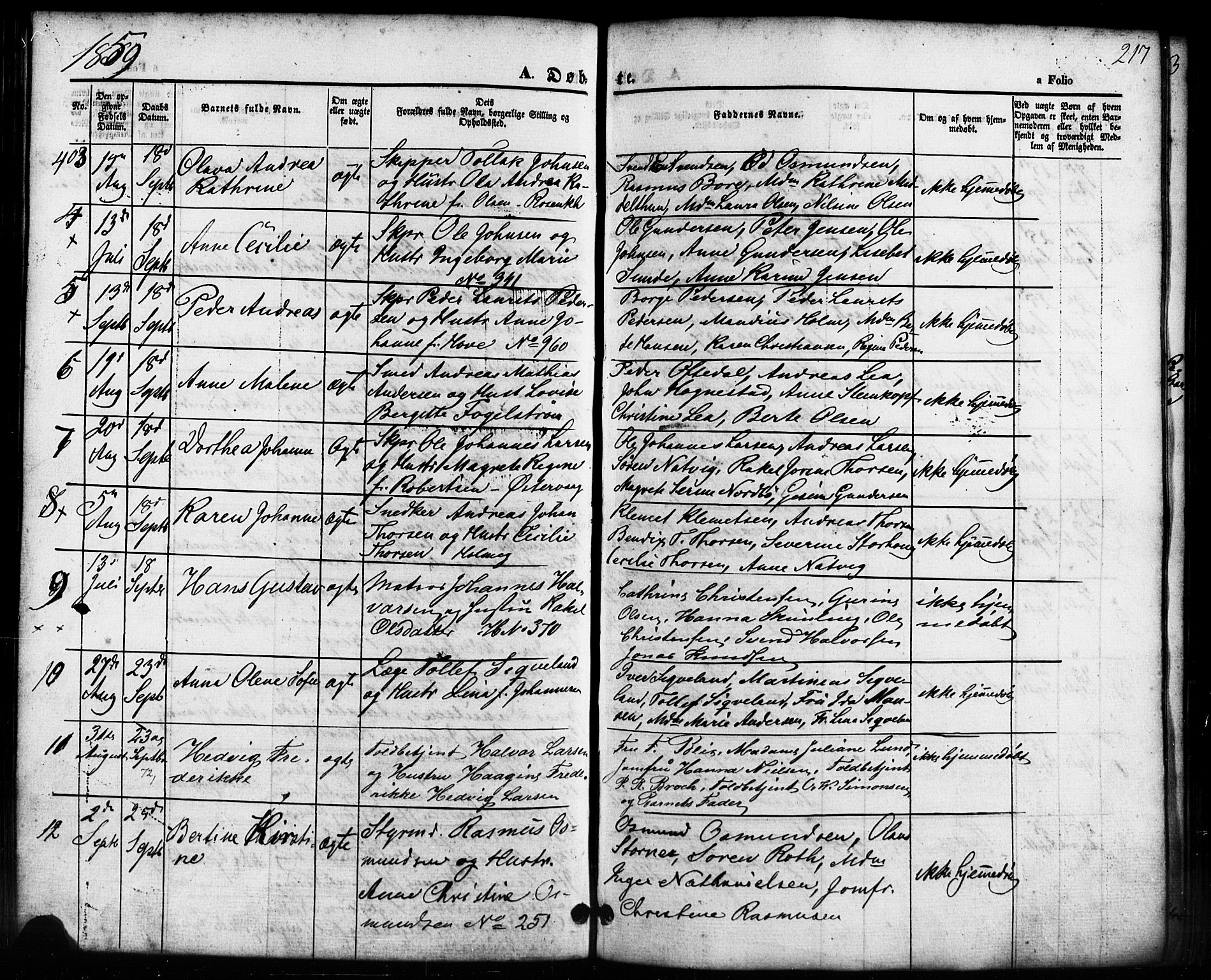 Domkirken sokneprestkontor, SAST/A-101812/001/30/30BB/L0010: Parish register (copy) no. B 10, 1855-1860, p. 217