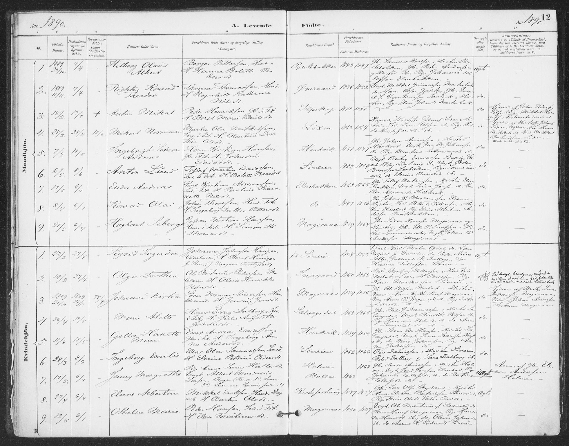 Ibestad sokneprestembete, SATØ/S-0077/H/Ha/Haa/L0015kirke: Parish register (official) no. 15, 1888-1899, p. 12